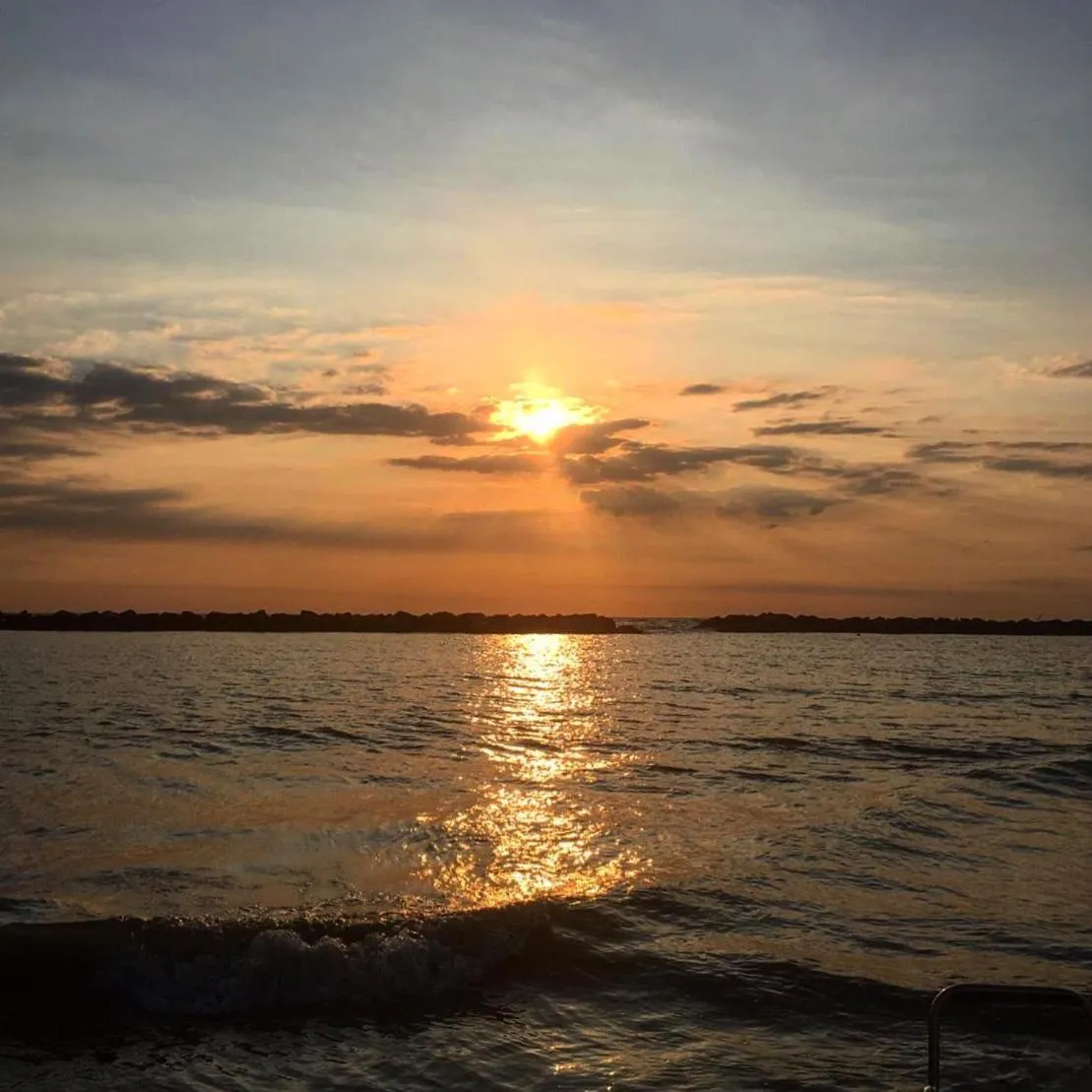 Natural landscape in Hotel Sandra