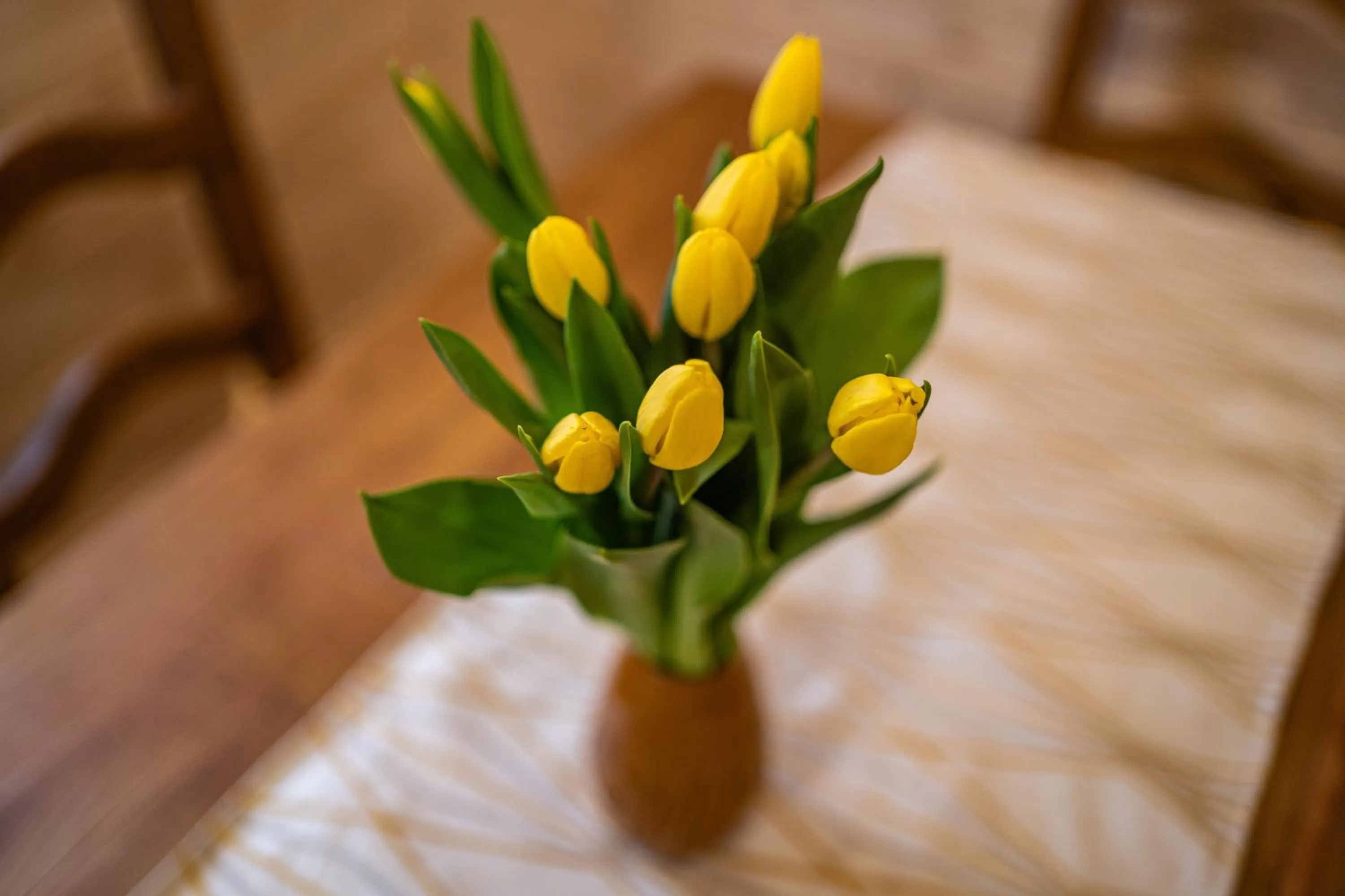 Decorative detail in Eko domki MaMastra Szaflary