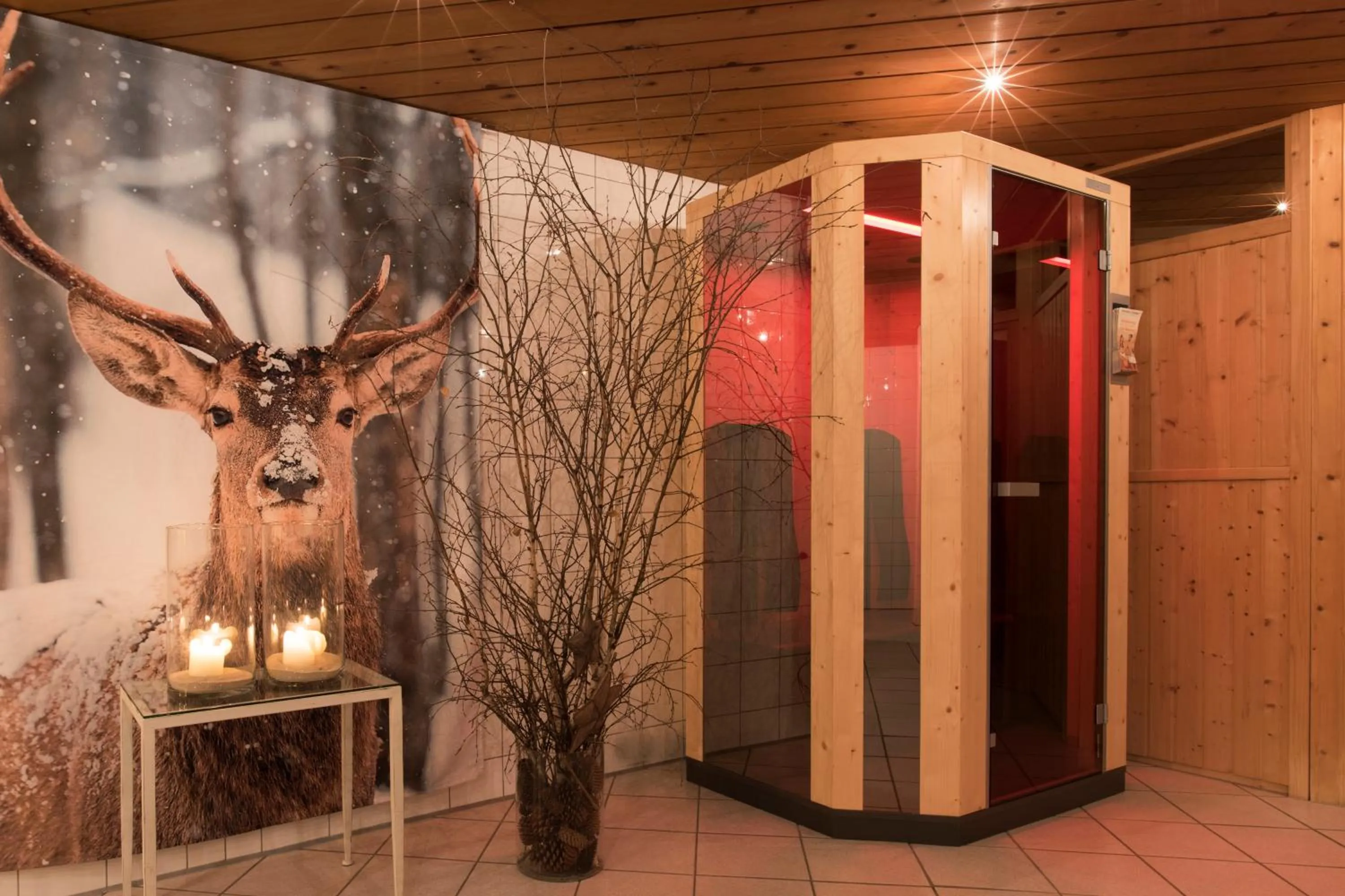 Spa and wellness centre/facilities in Hotel Montafoner Hof