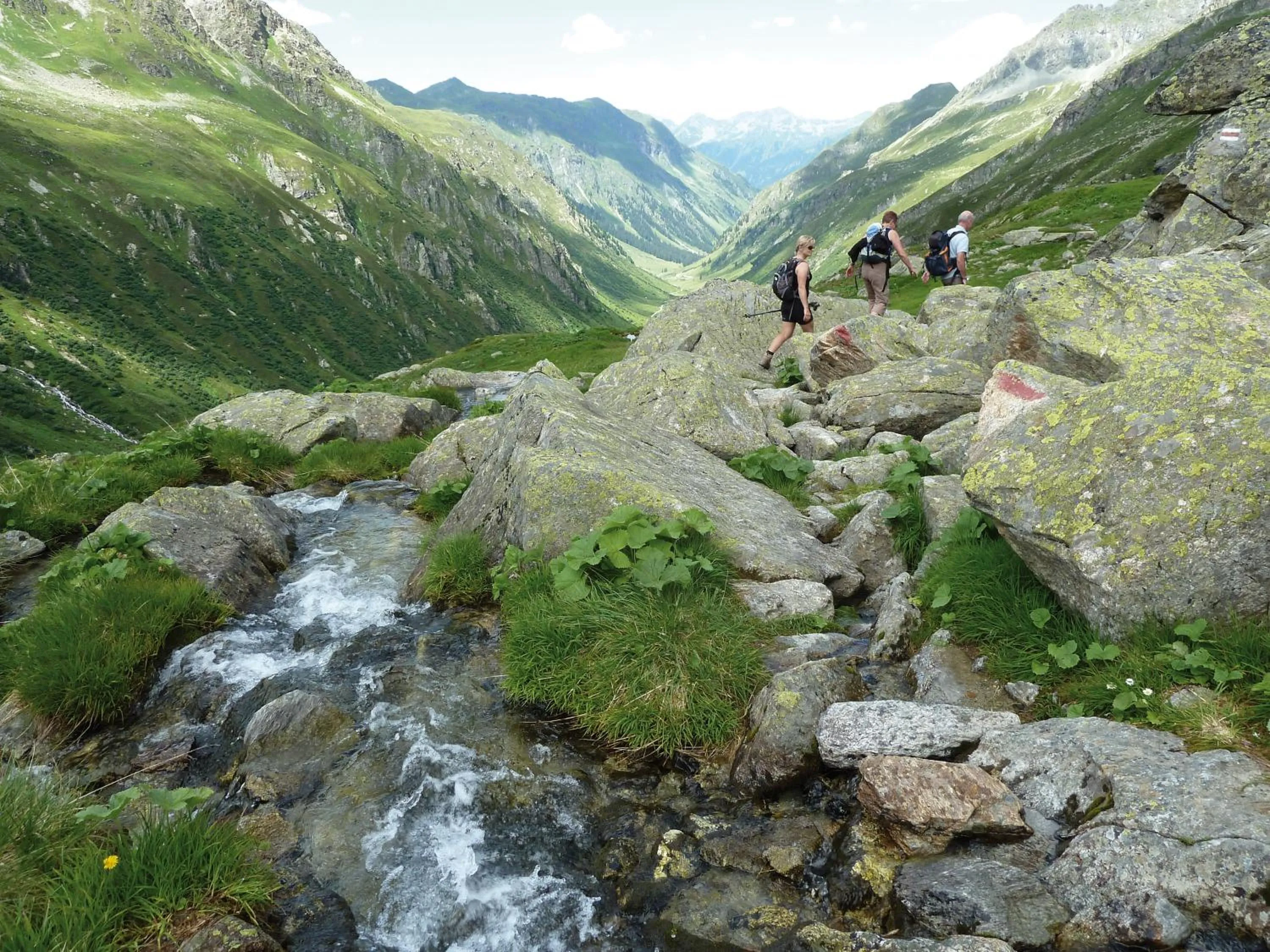 Natural landscape in Hotel Montafoner Hof