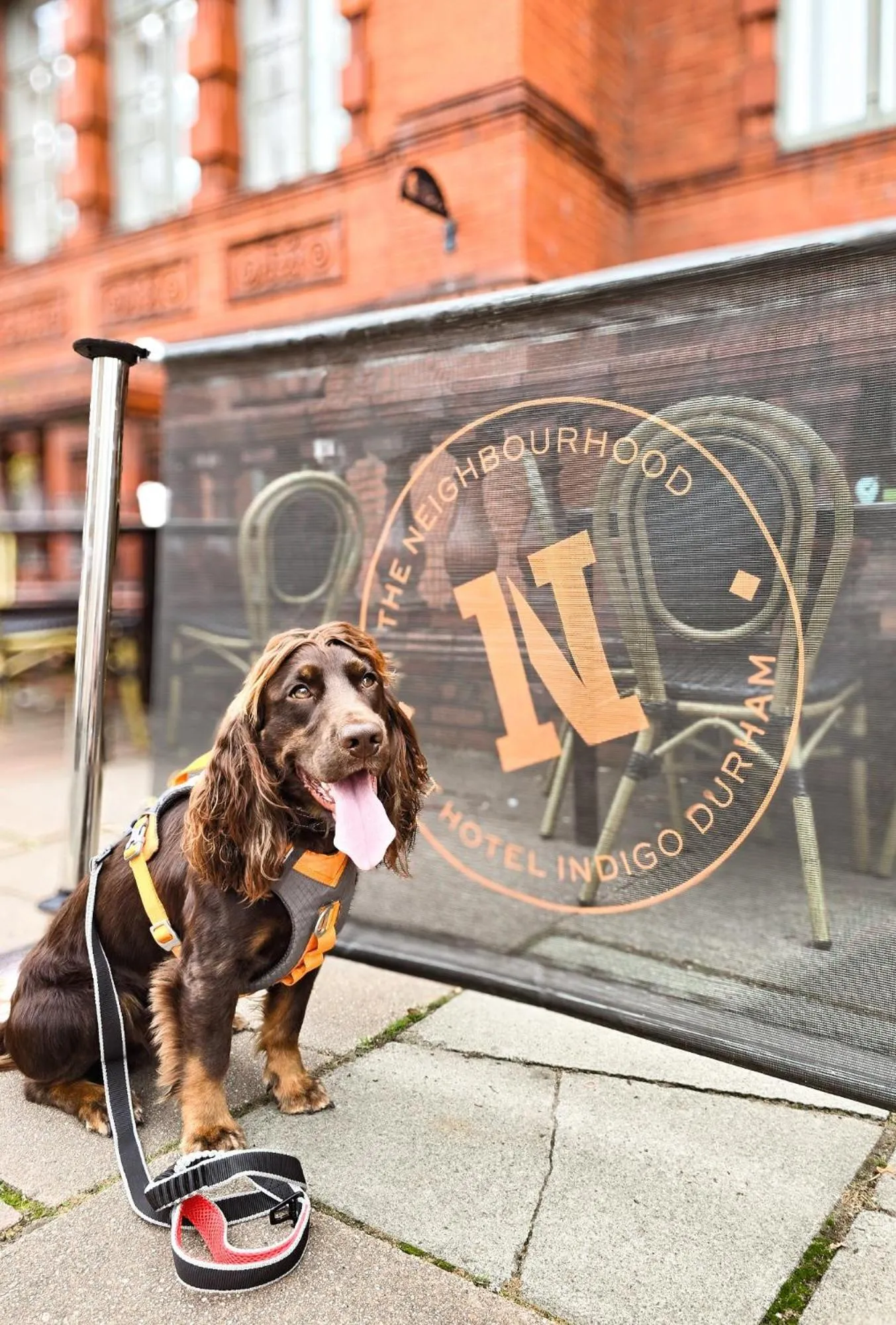 Restaurant/places to eat in Hotel Indigo - Durham by IHG