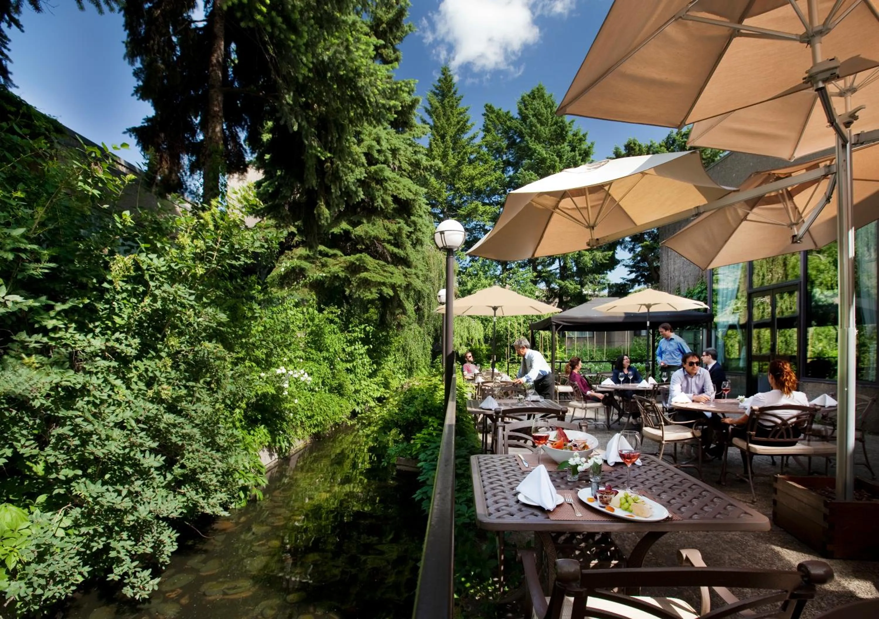 Restaurant/places to eat in Hotel Bonaventure Montreal