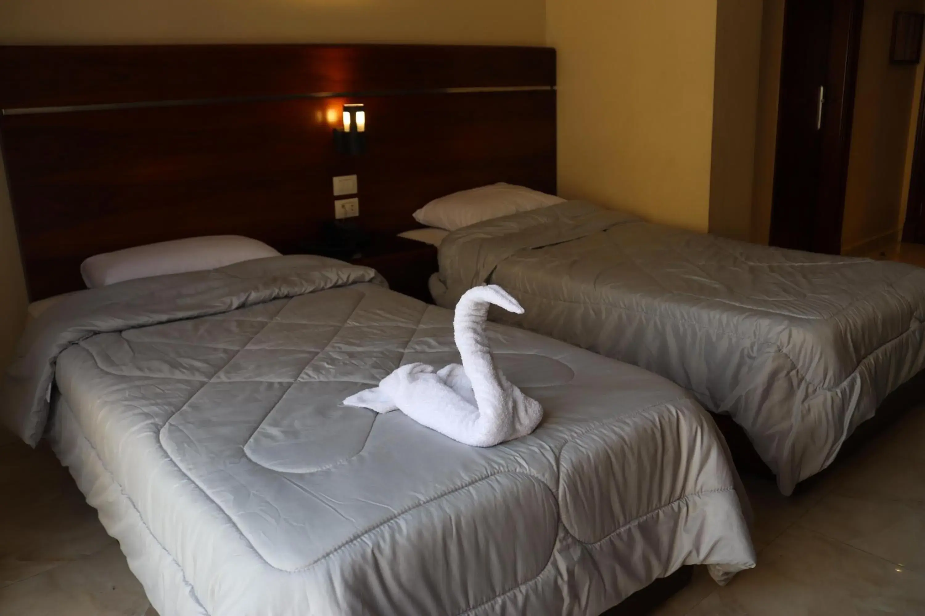 Deluxe Double or Twin Room with City View in Pharaohs Hotel Deluxe Double or Twin Room with City View in Pharaohs Hotel