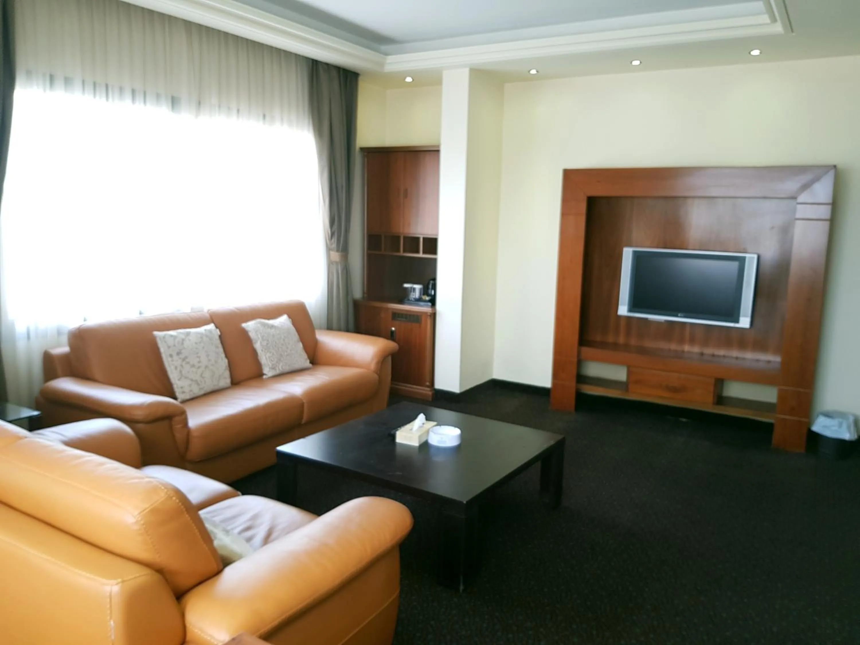TV and multimedia in Madisson Hotel