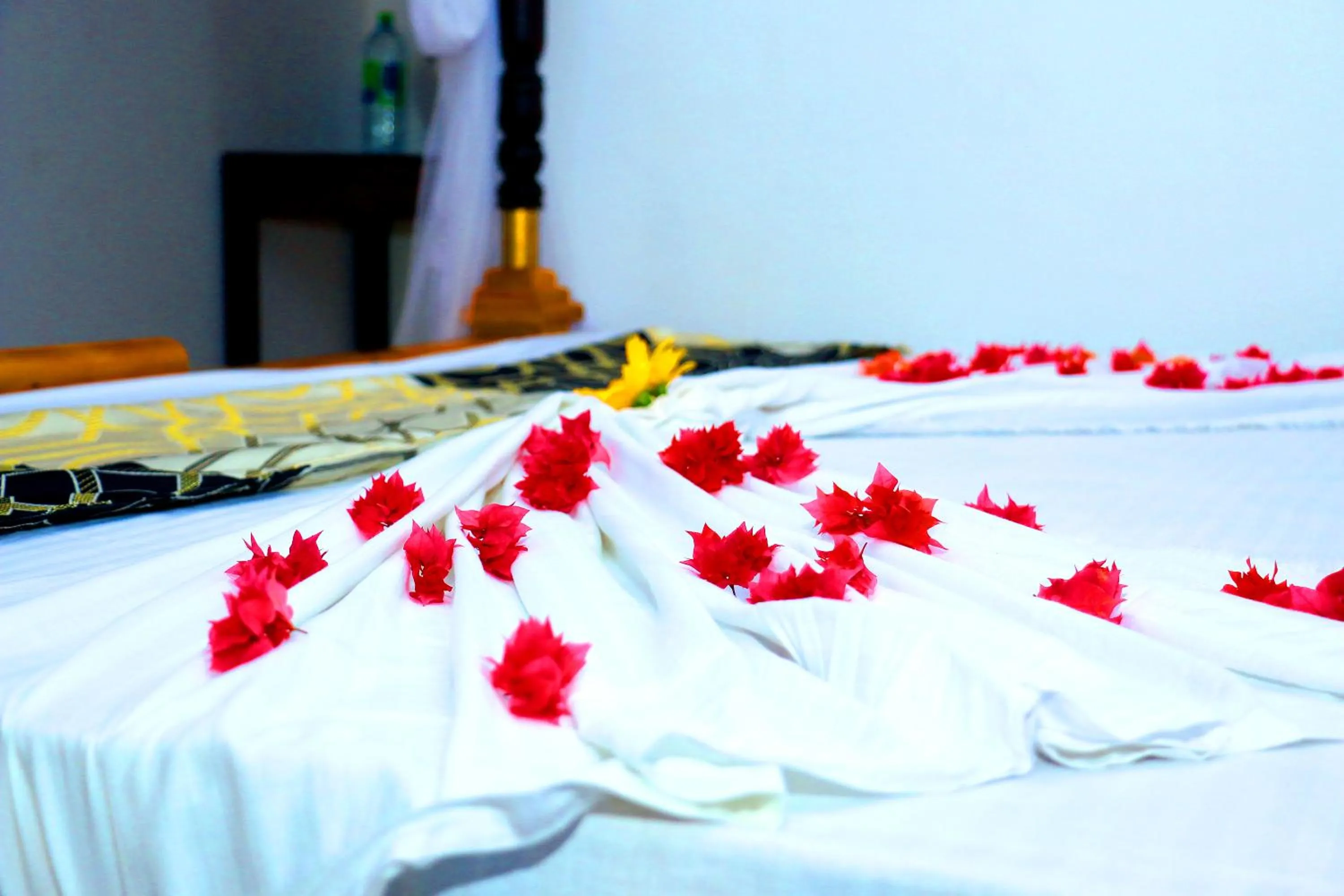 Bed in Turtle Watch Cabana