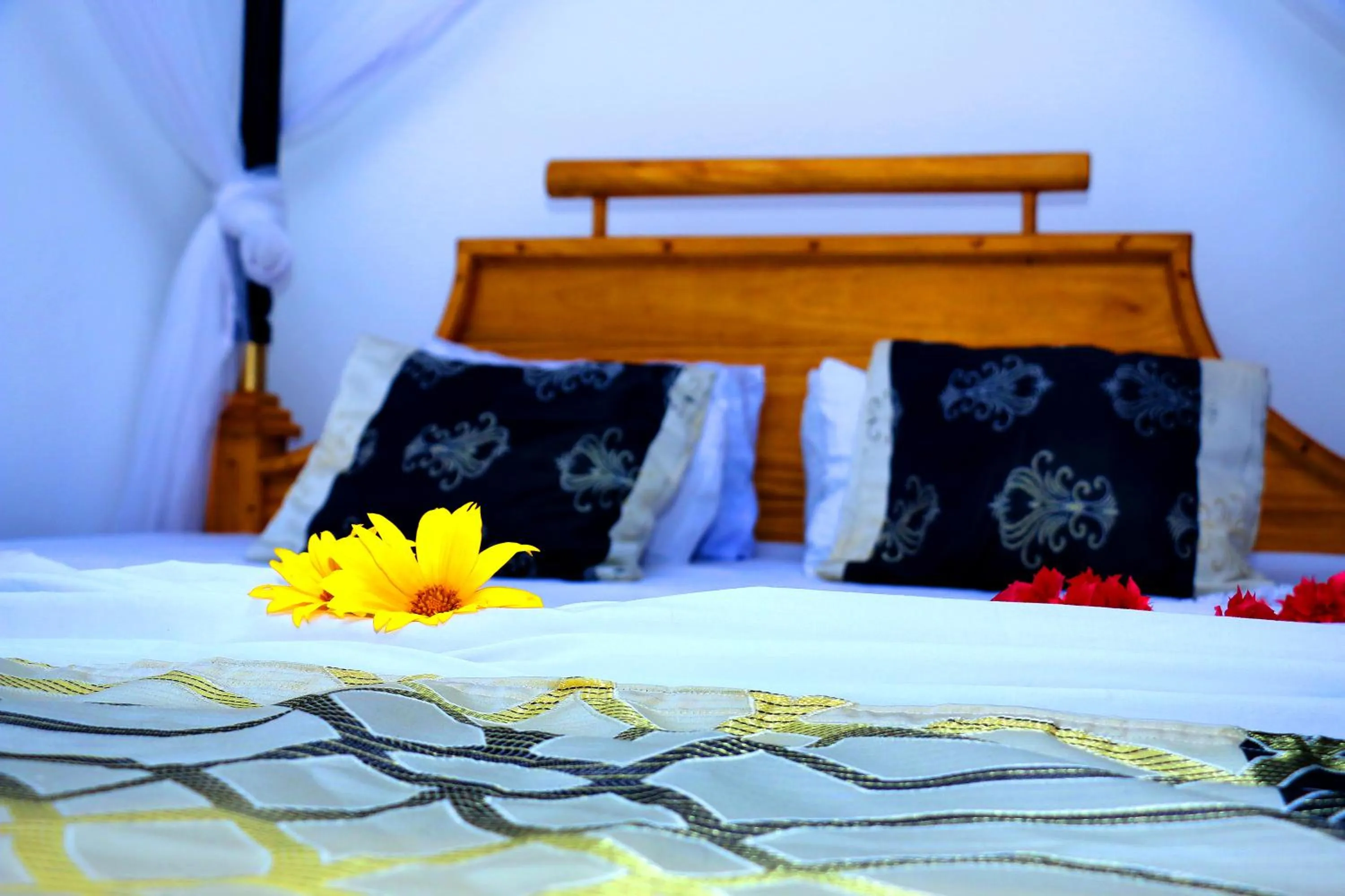 Bed in Turtle Watch Cabana