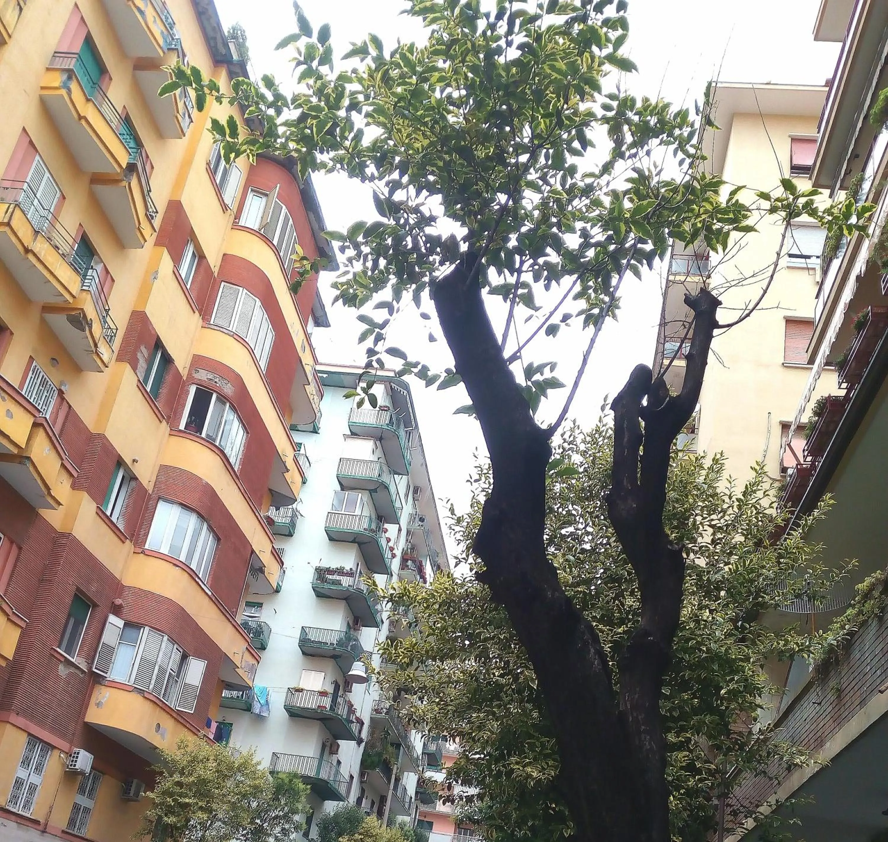 Property building in Cicicocó