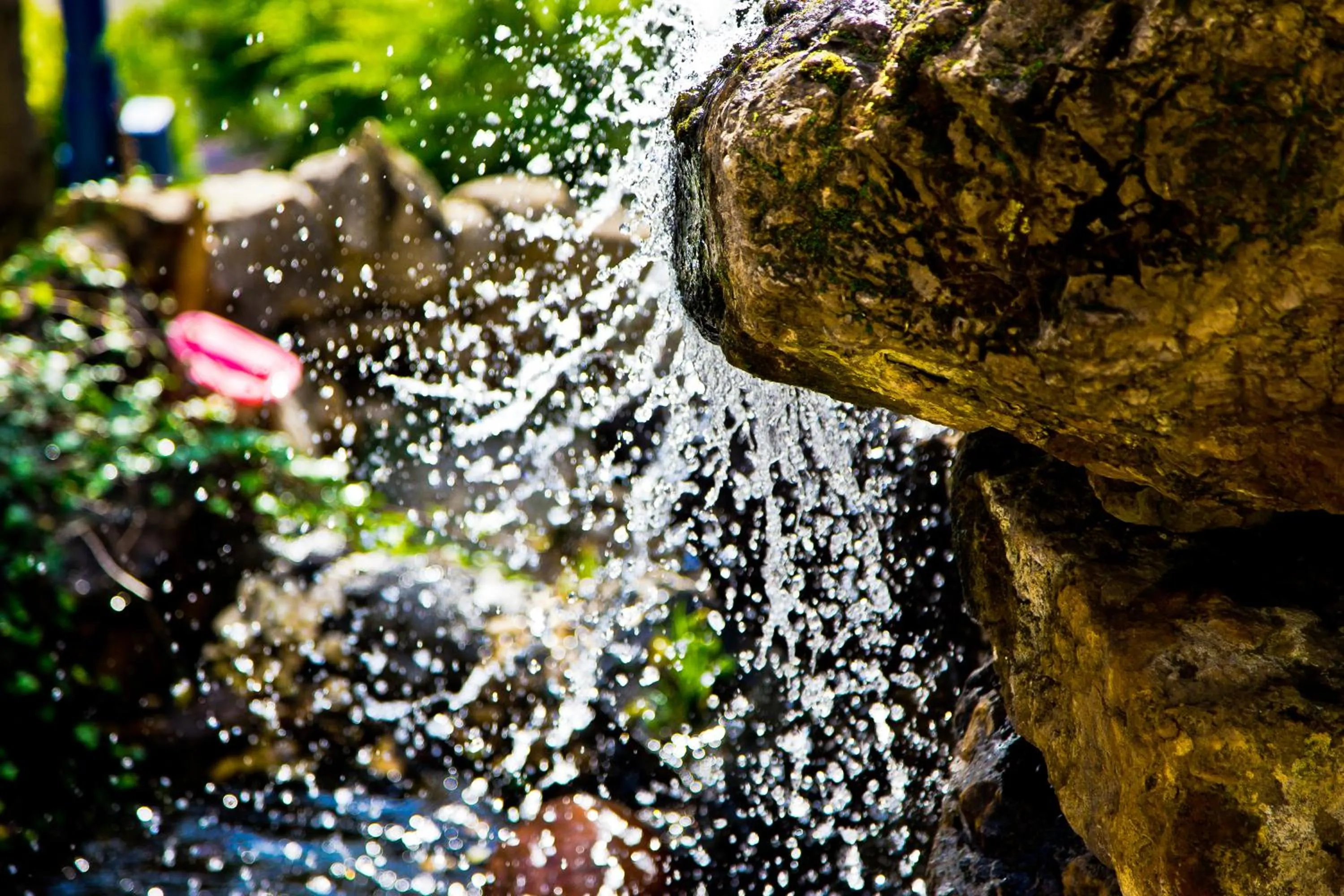 Garden view in Shuma