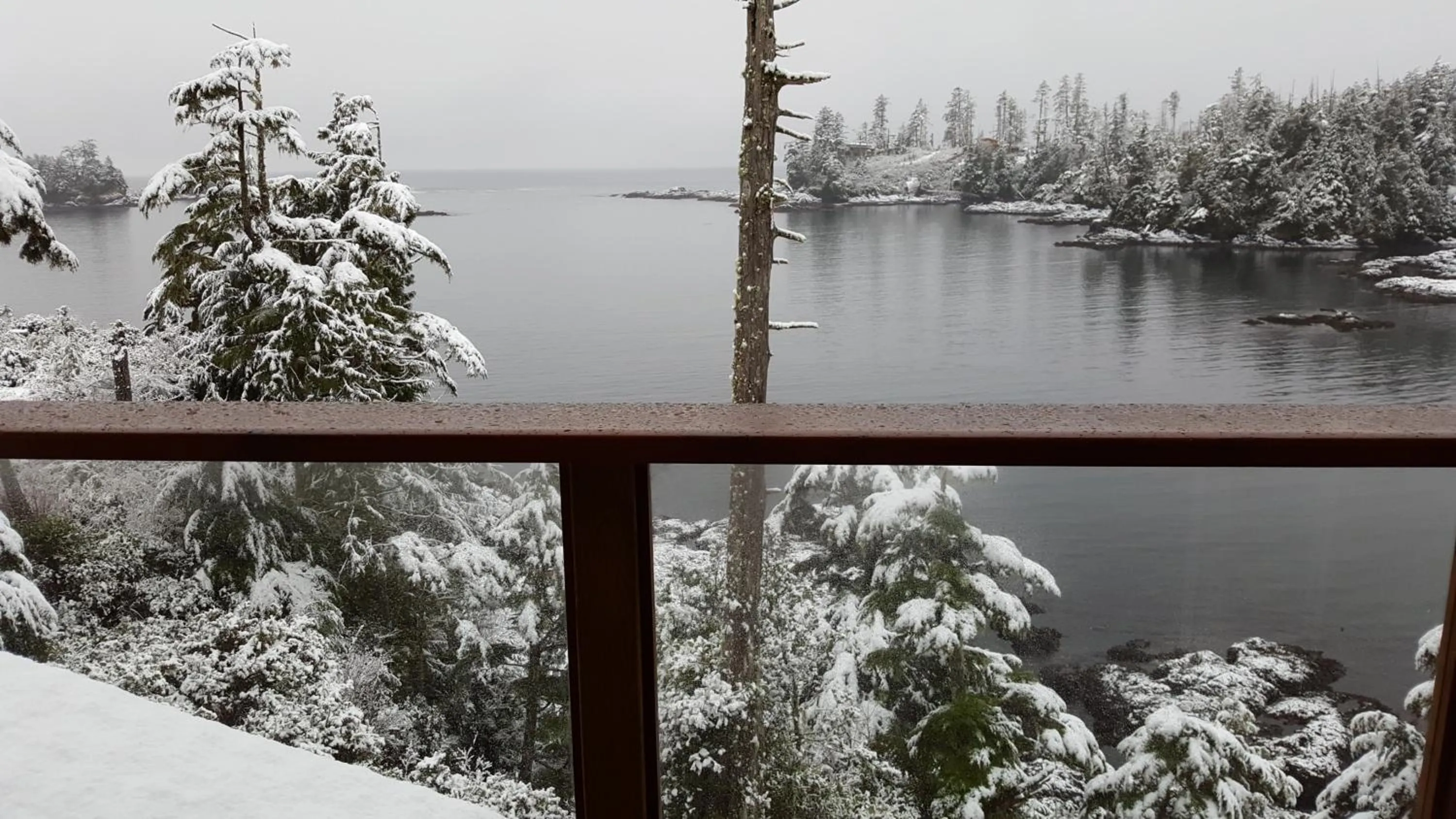 Winter in Reef Point Oceanfront Bed and Breakfast