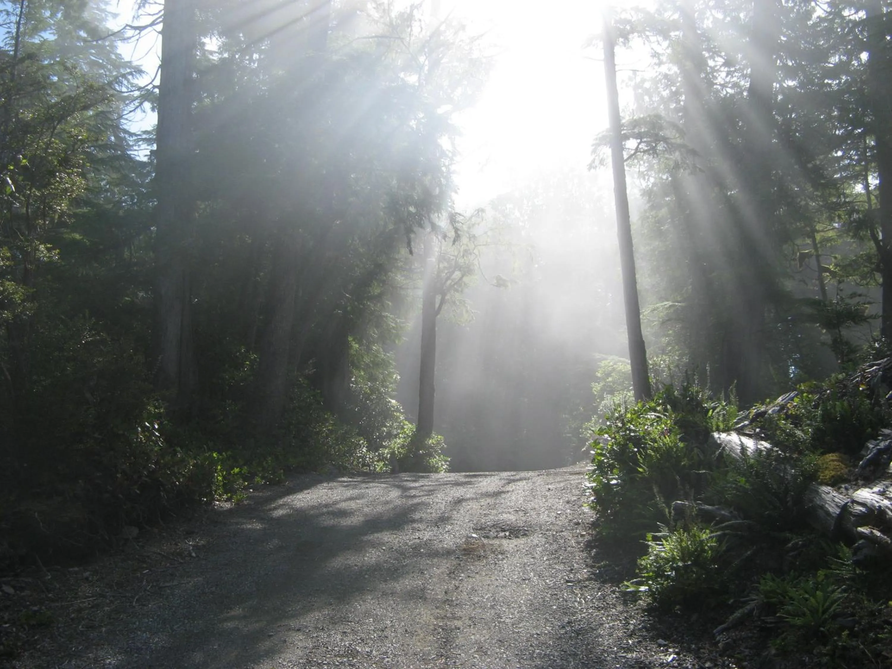 Natural landscape in Reef Point Oceanfront Bed and Breakfast