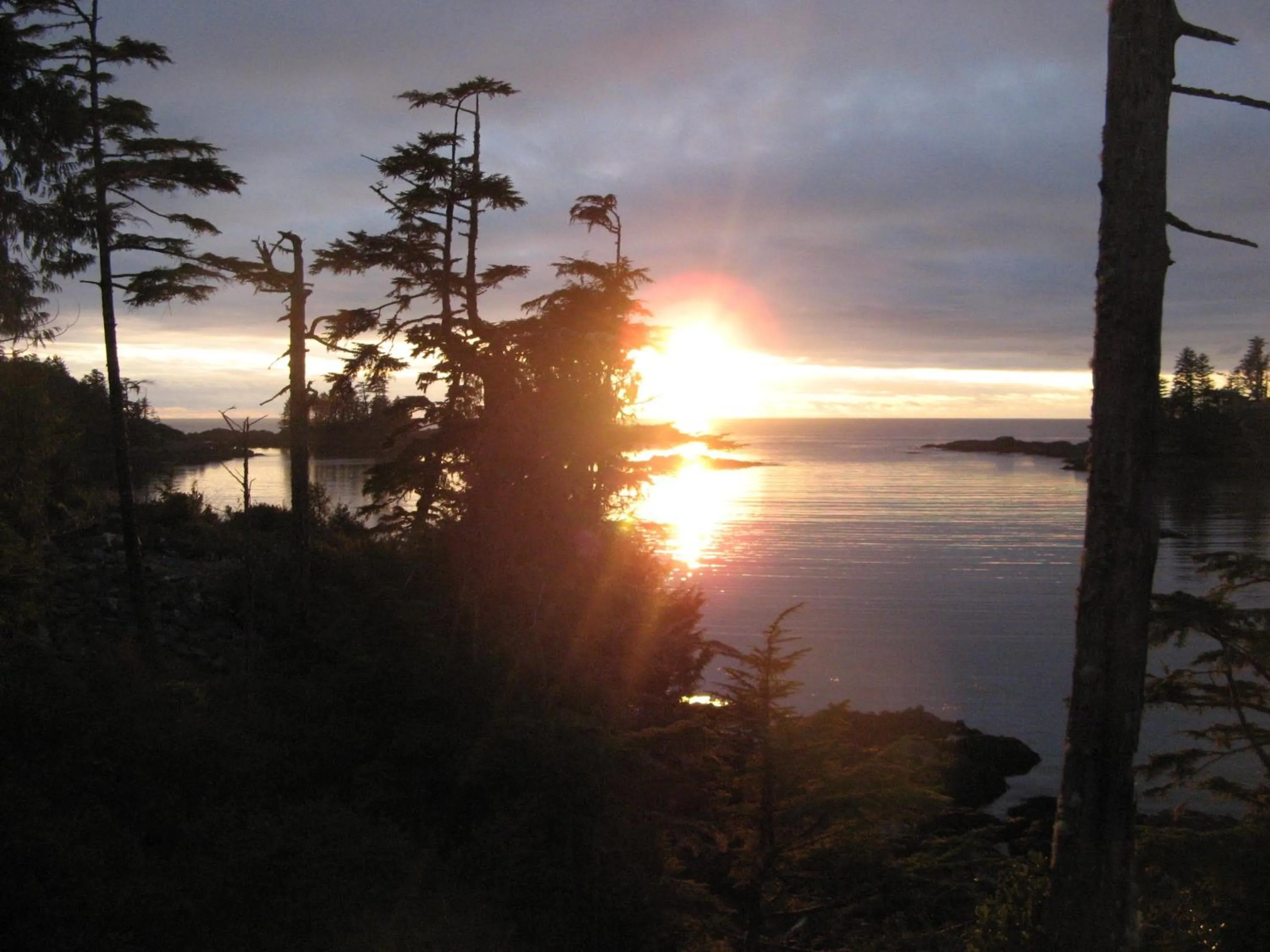 View (from property/room) in Reef Point Oceanfront Bed and Breakfast