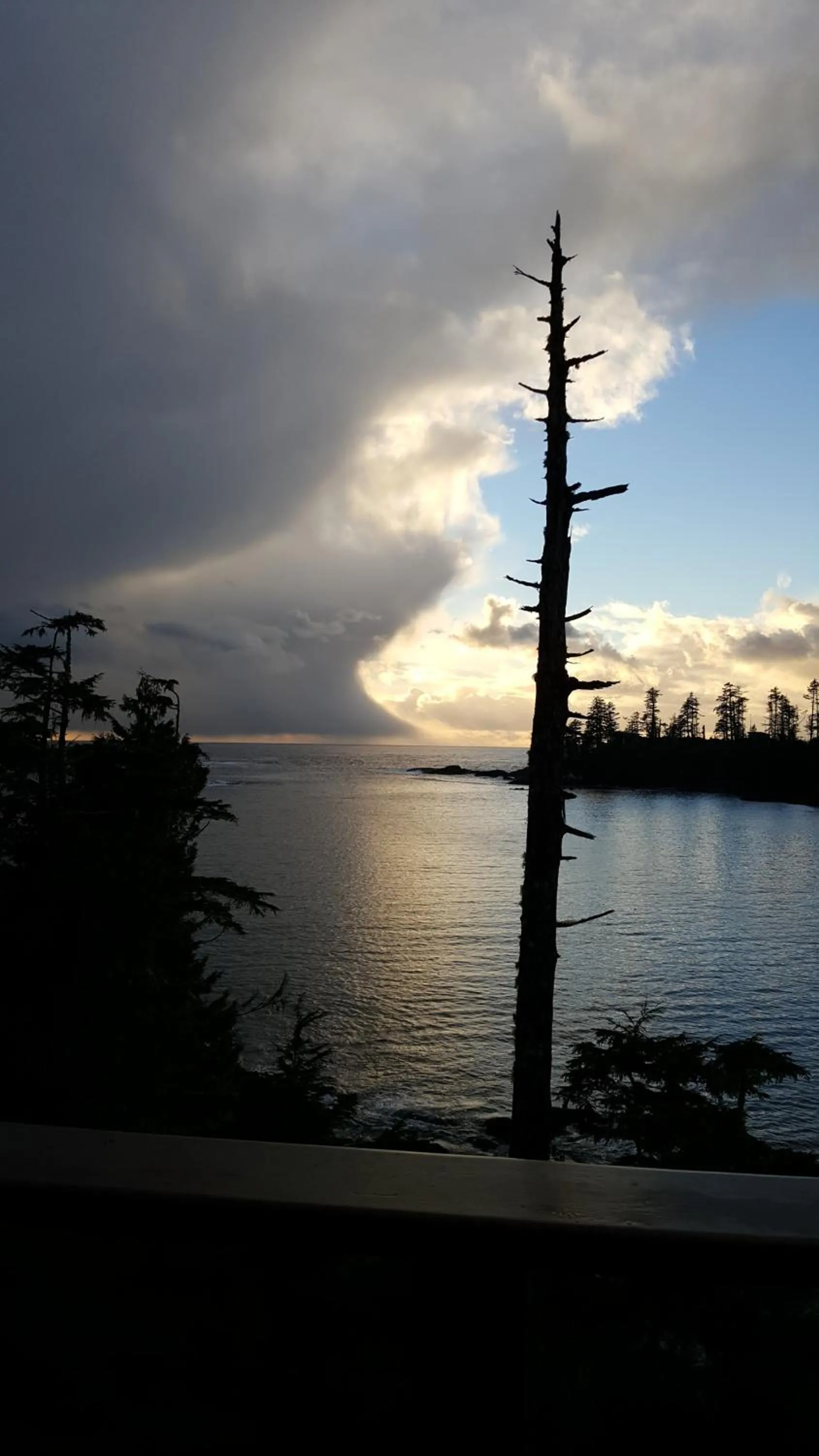 Natural landscape in Reef Point Oceanfront Bed and Breakfast