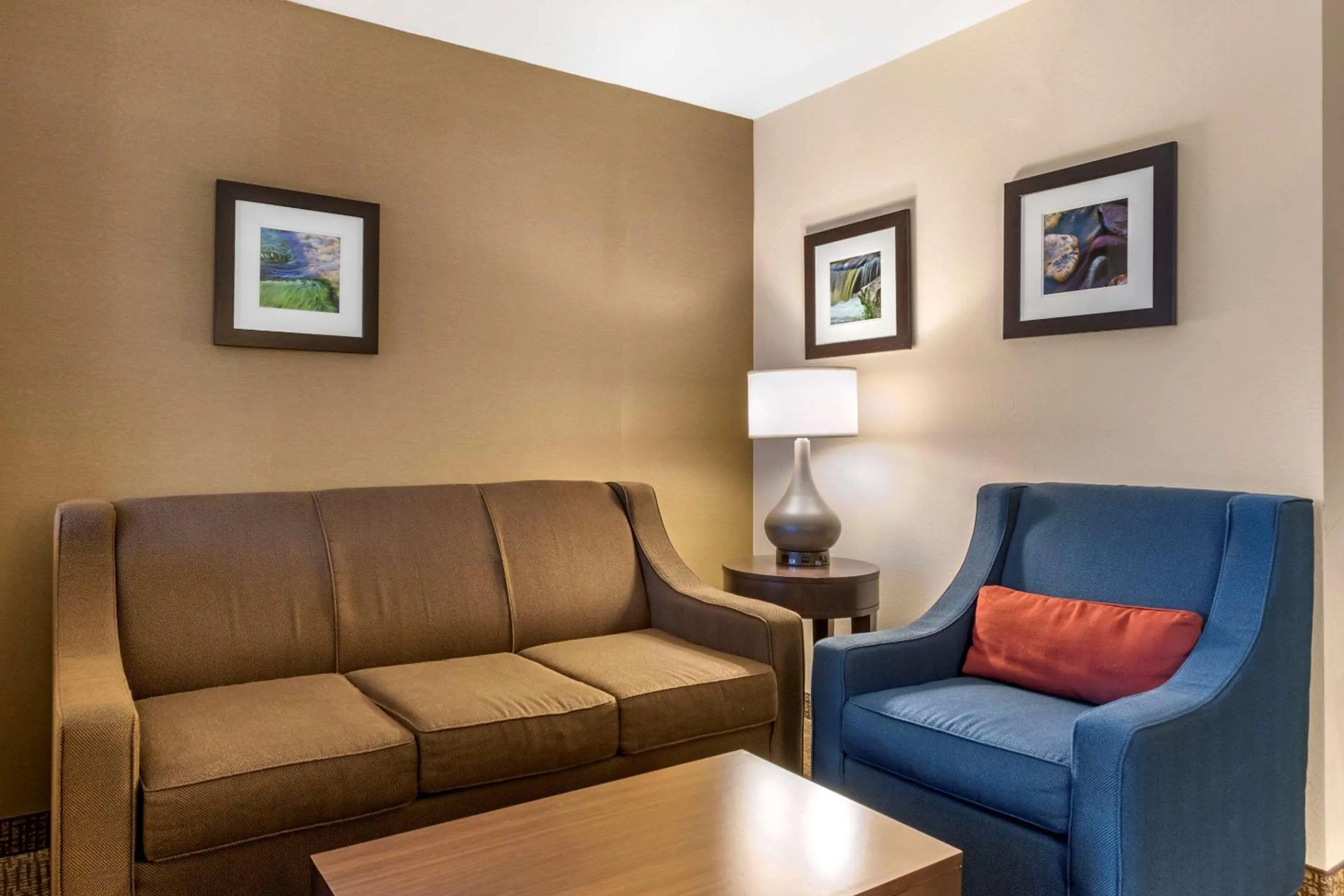 Photo of the whole room in Comfort Inn Williamsport