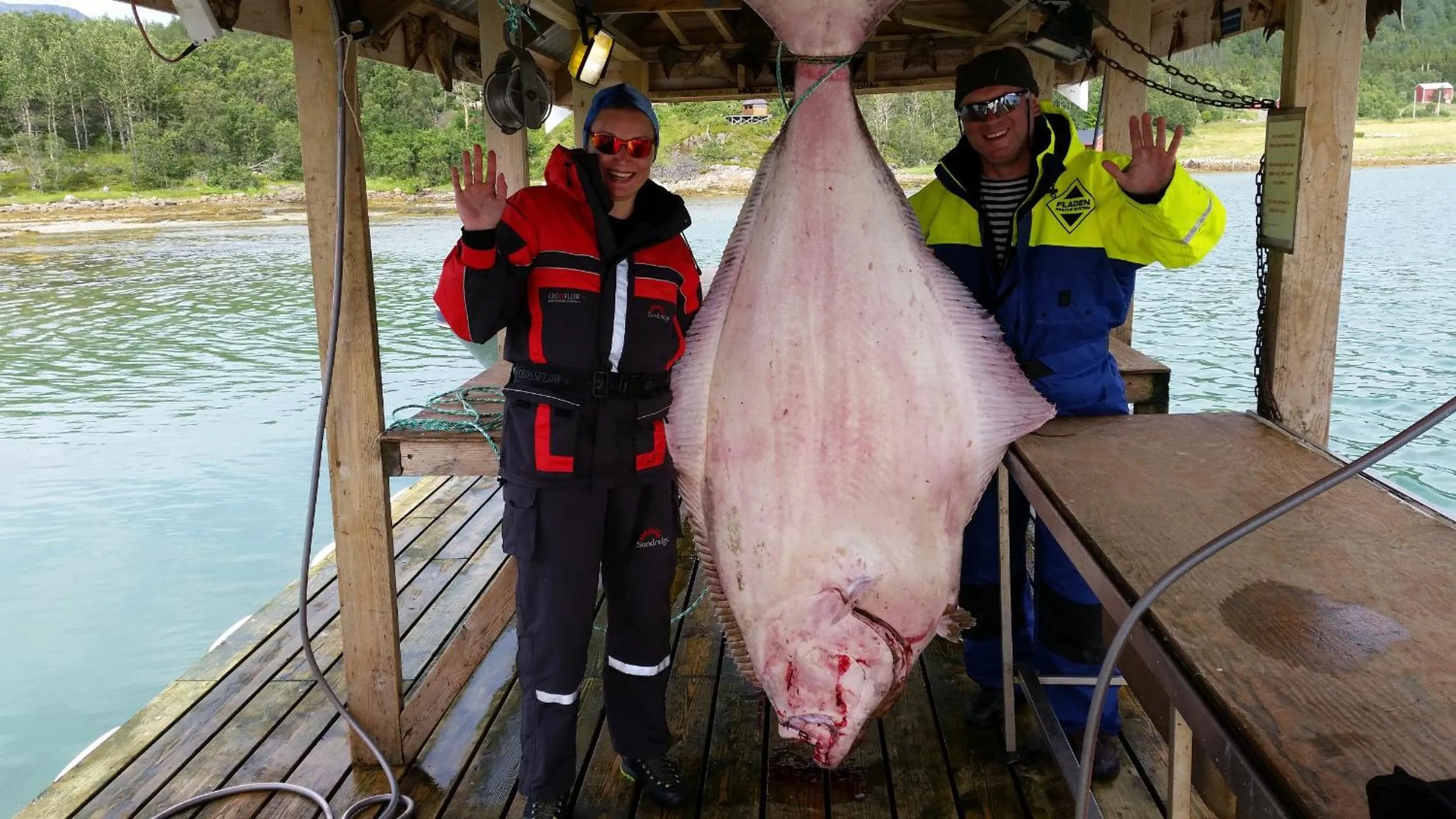 Day in Senja Fjordhotell and Apartments