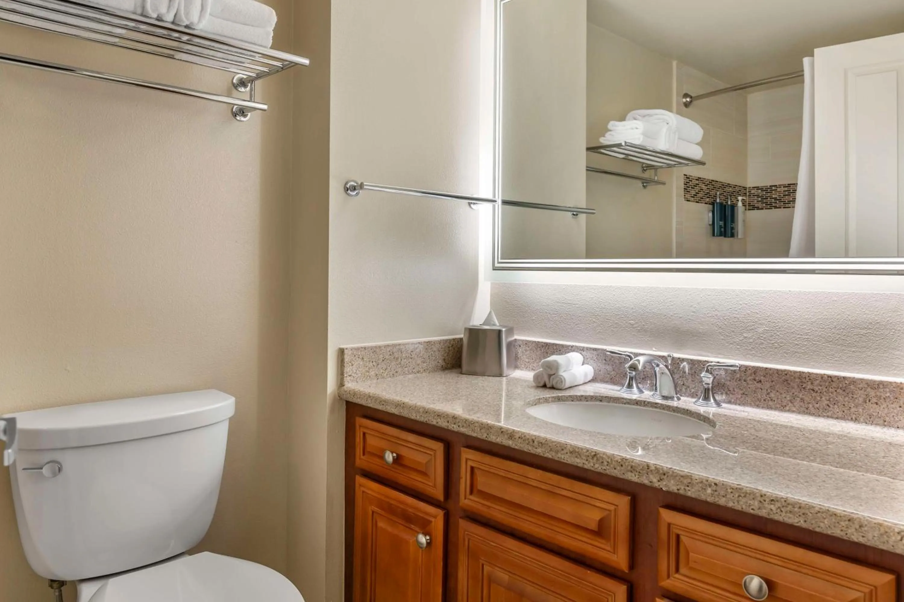 Bathroom in Hilton Grand Vacations Club SeaWorld Orlando