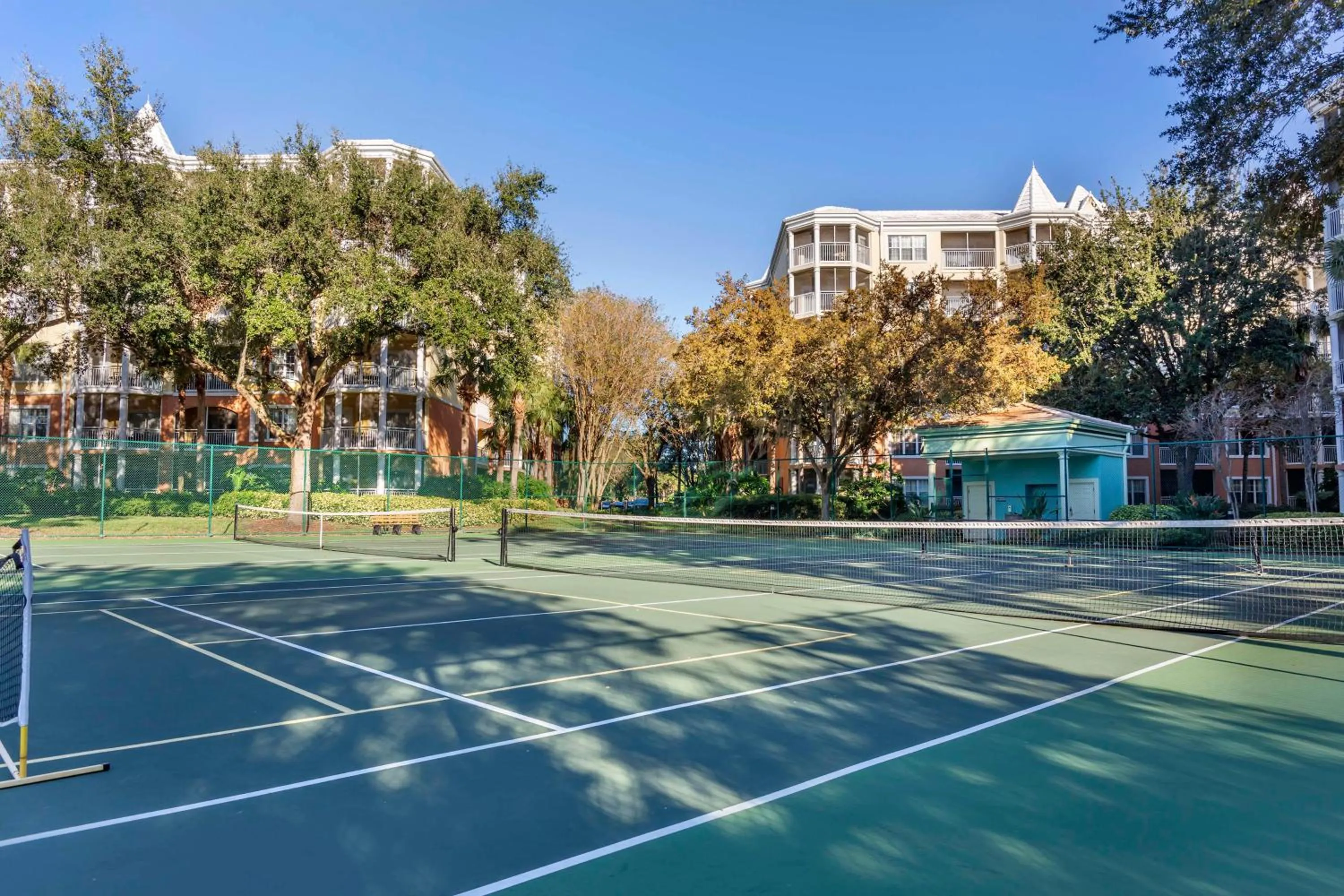 Sports in Hilton Grand Vacations Club SeaWorld Orlando