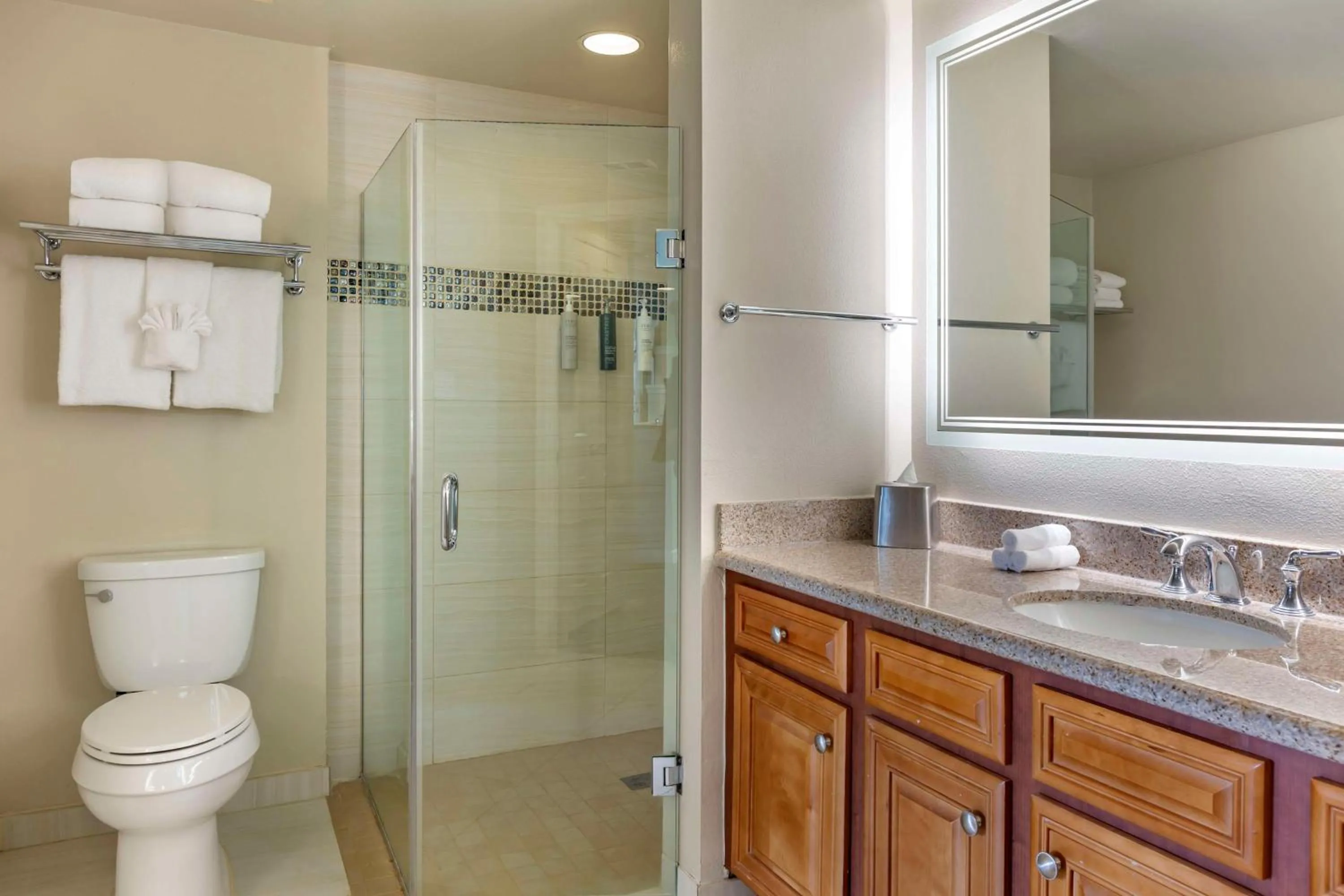 Bathroom in Hilton Grand Vacations Club SeaWorld Orlando