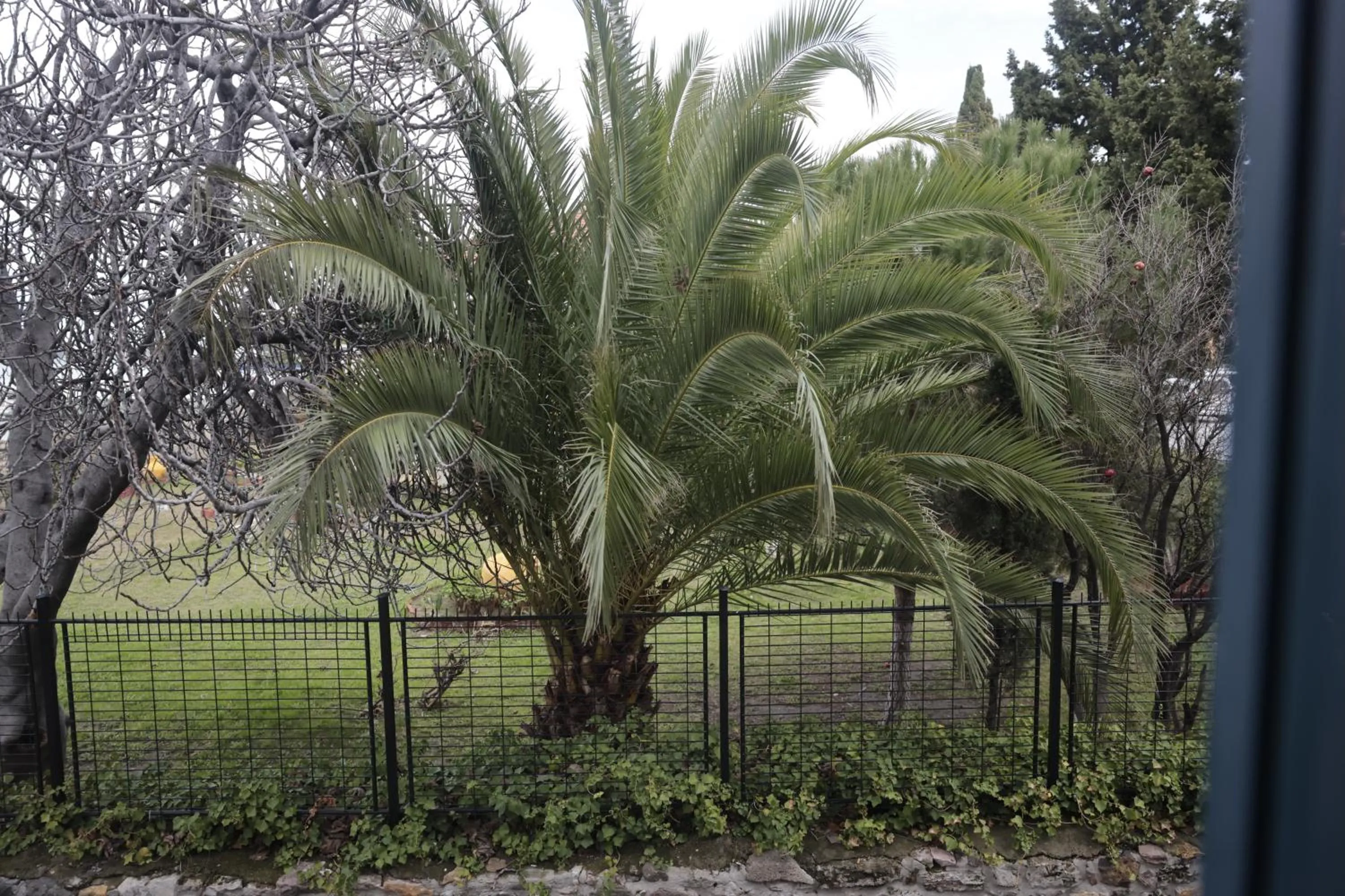 Ferahi Evler Ayvalık