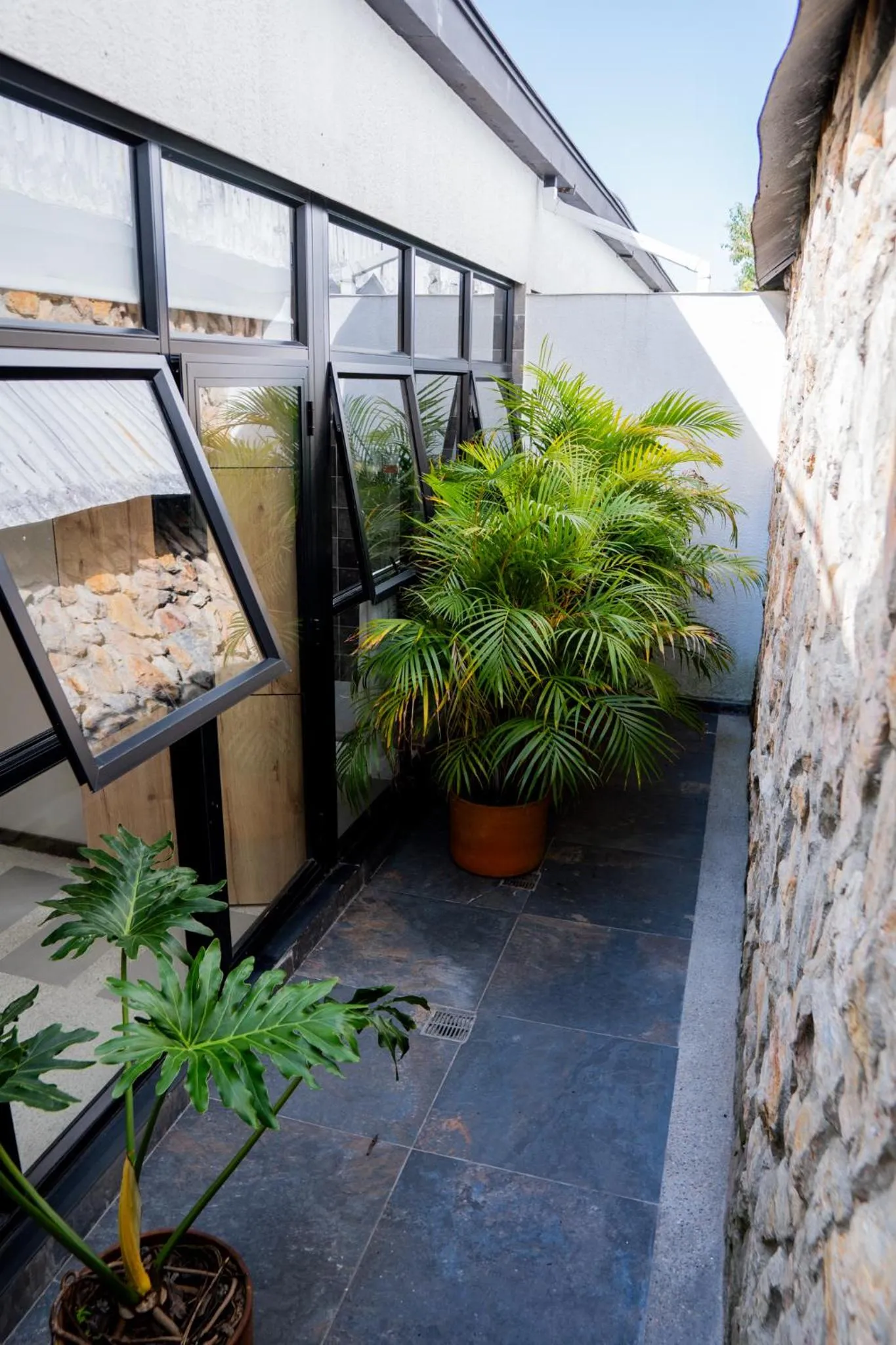 Garden in Hotel Piedras De Maní