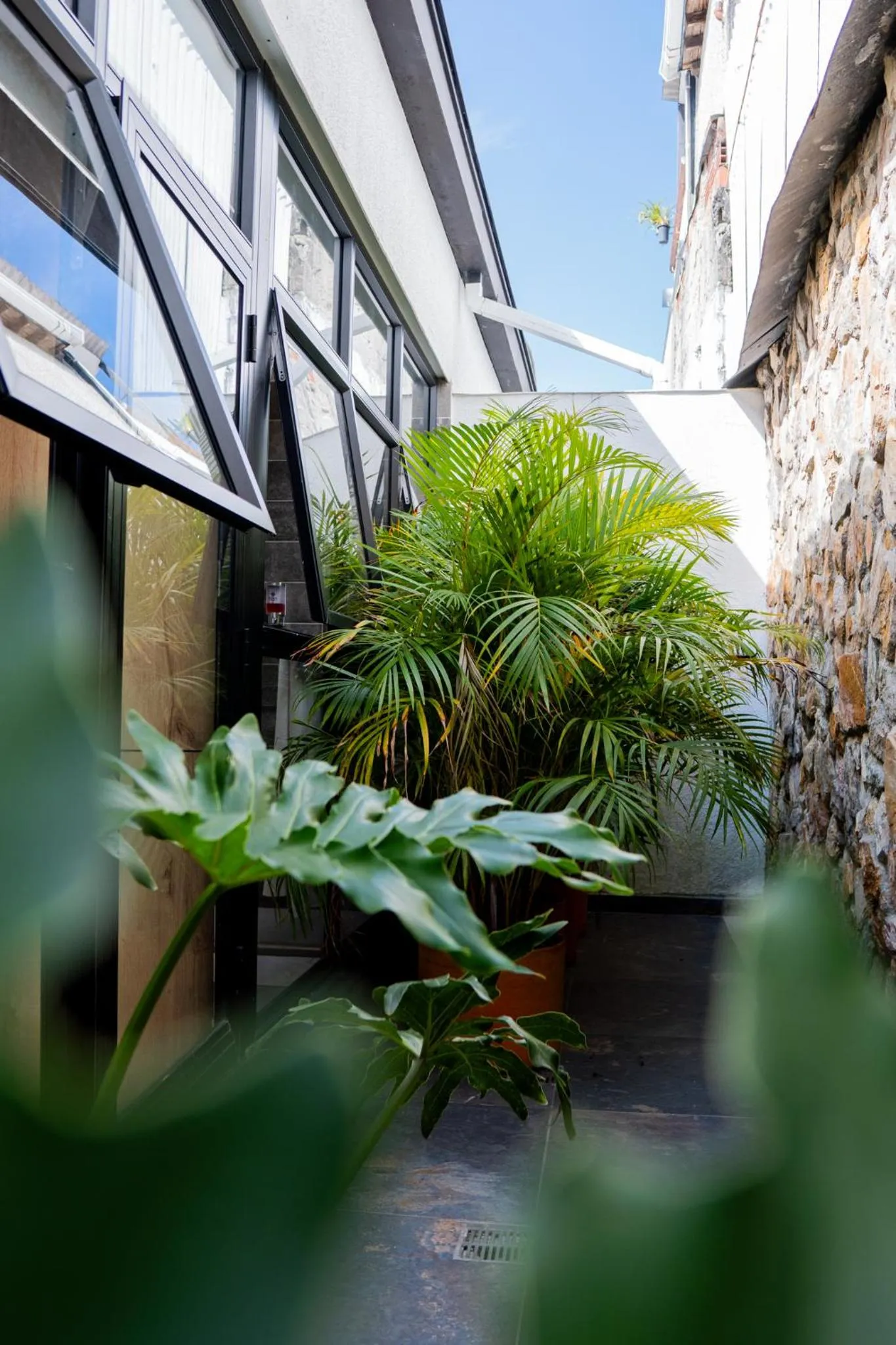 Garden in Hotel Piedras De Maní