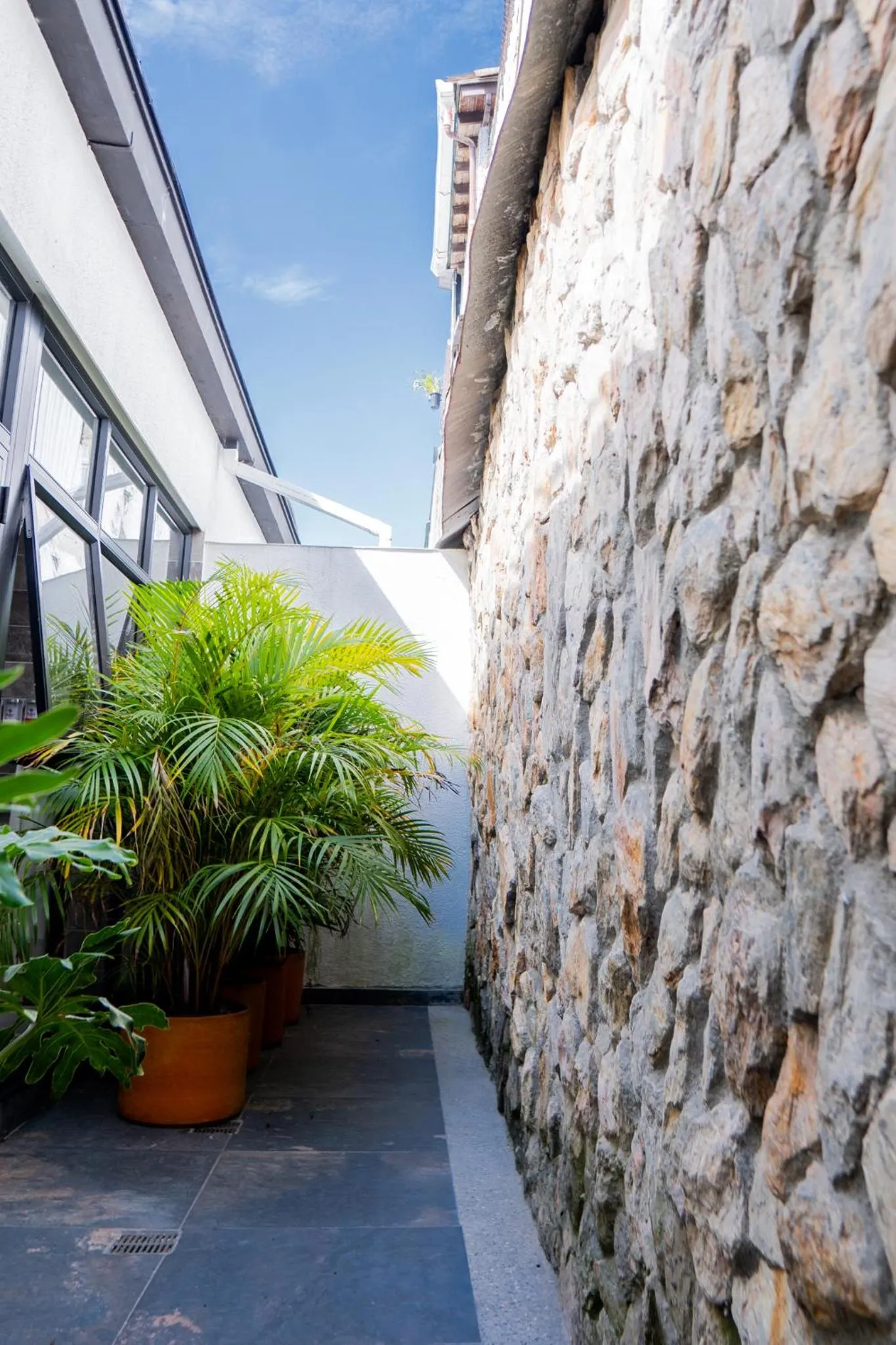 Garden in Hotel Piedras De Maní