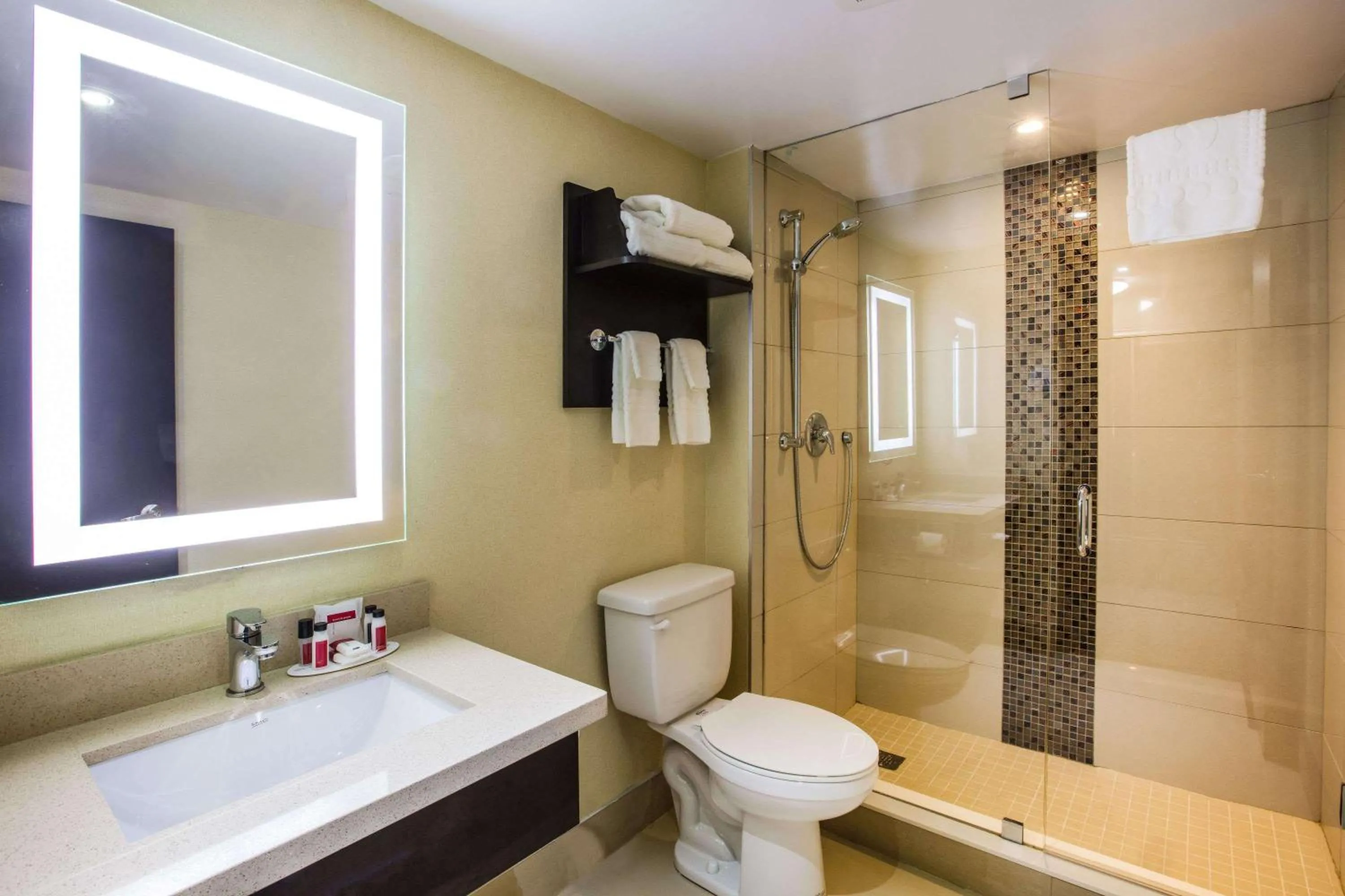 Bathroom in Ramada by Wyndham Jackson's Point