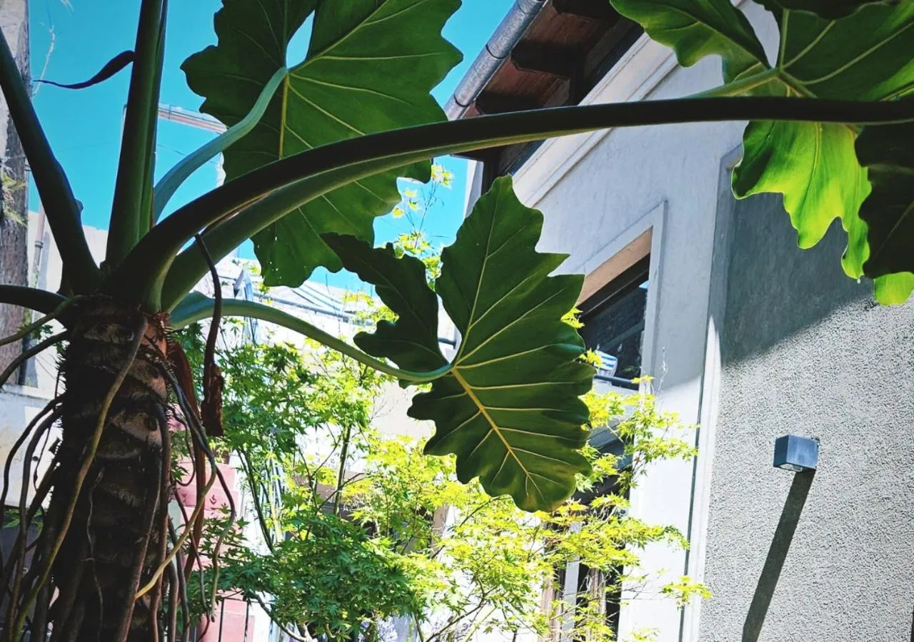 Property building in Posada Gotan