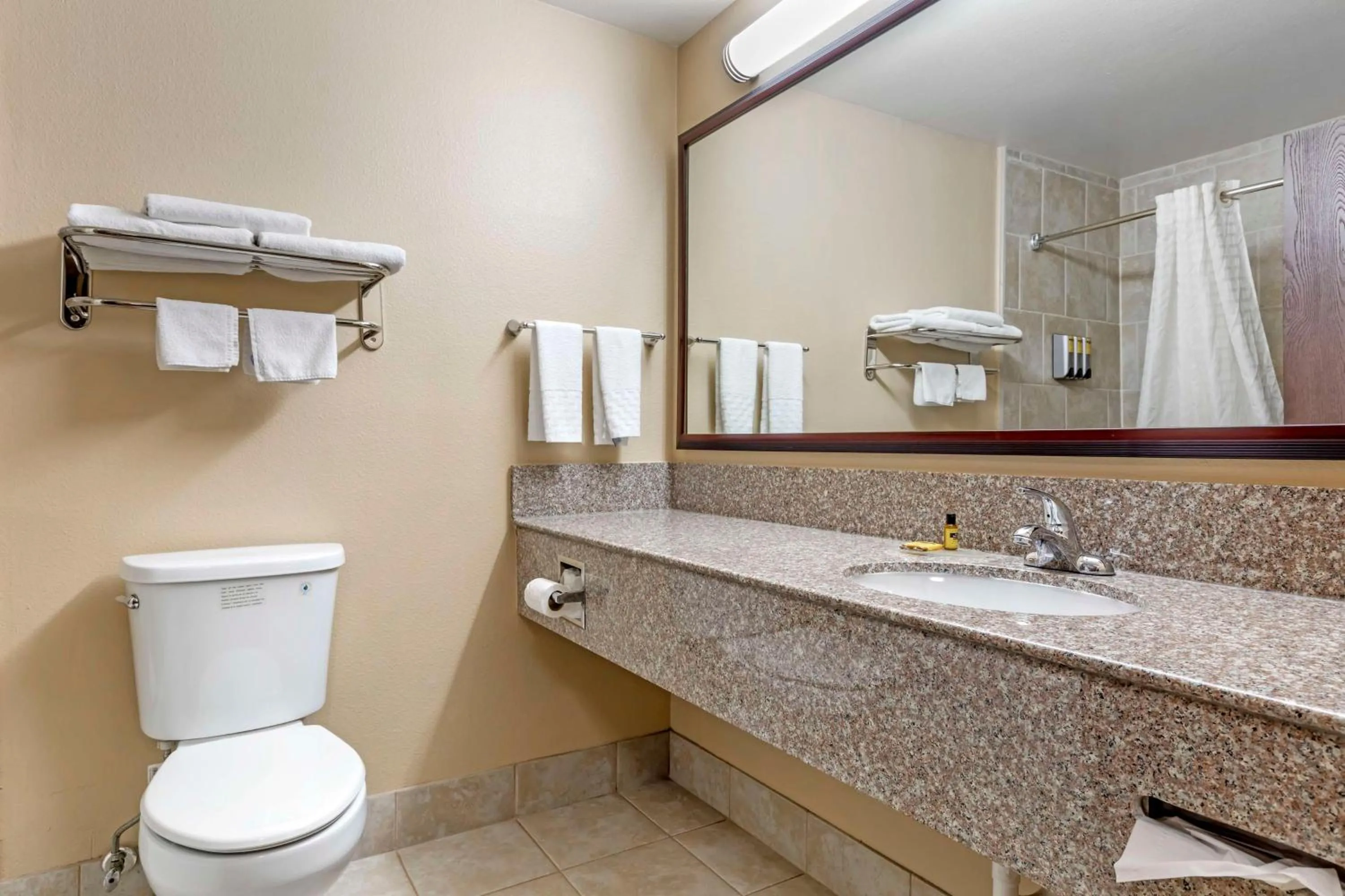 Bathroom in Best Western Plus Burleson Inn & Suites