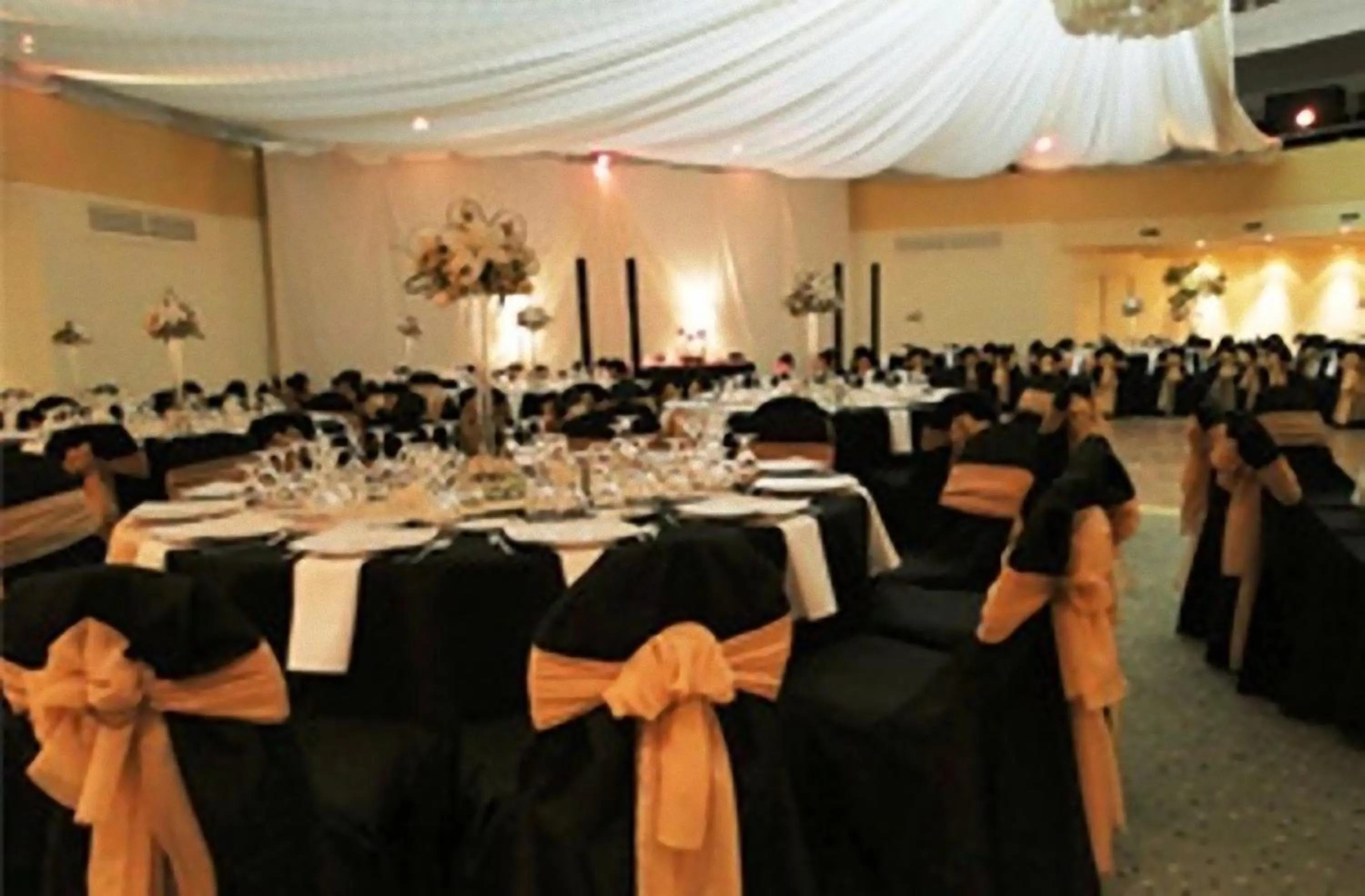 Banquet/Function facilities in Hotel Europa