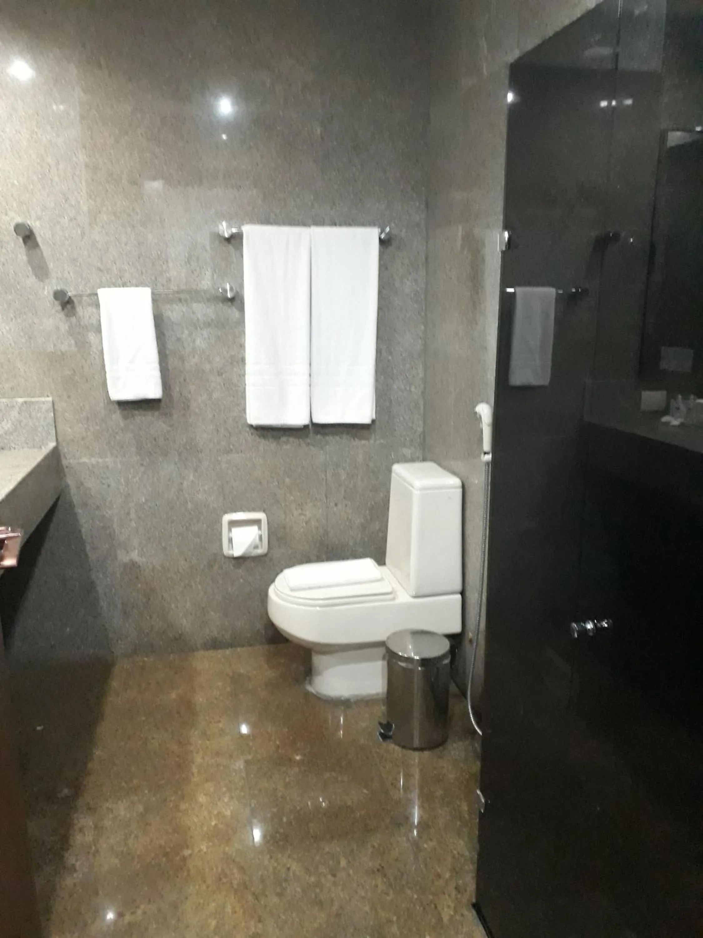 Toilet in Garden Hotel