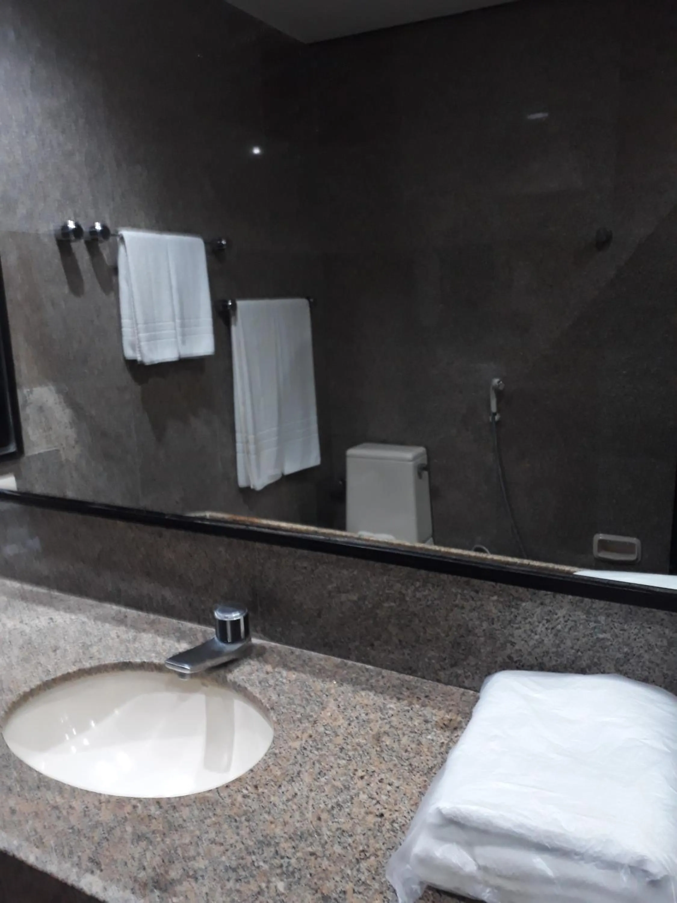 Toilet in Garden Hotel