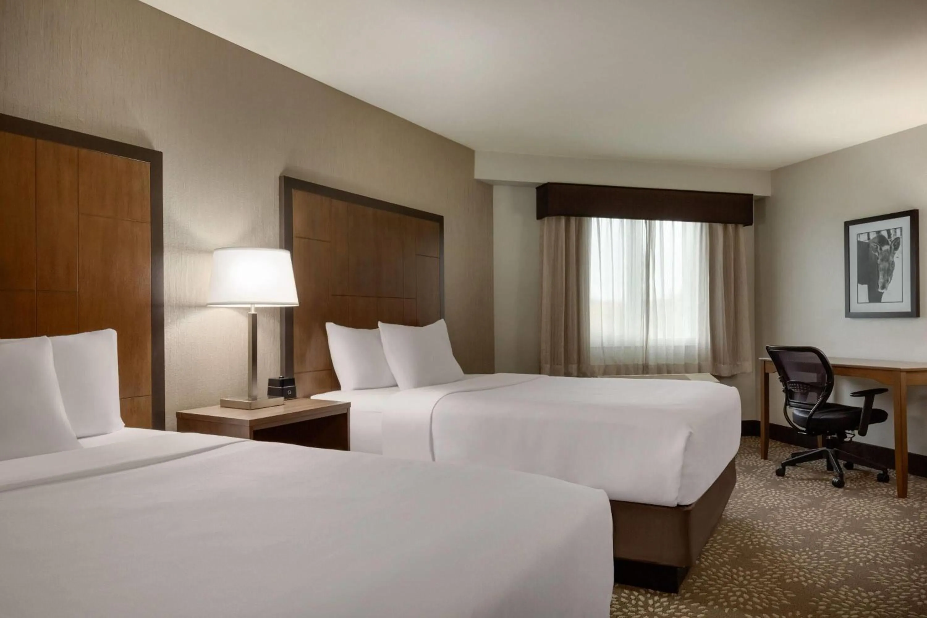 Photo of the whole room, Bed in La Quinta by Wyndham Fairbanks Airport