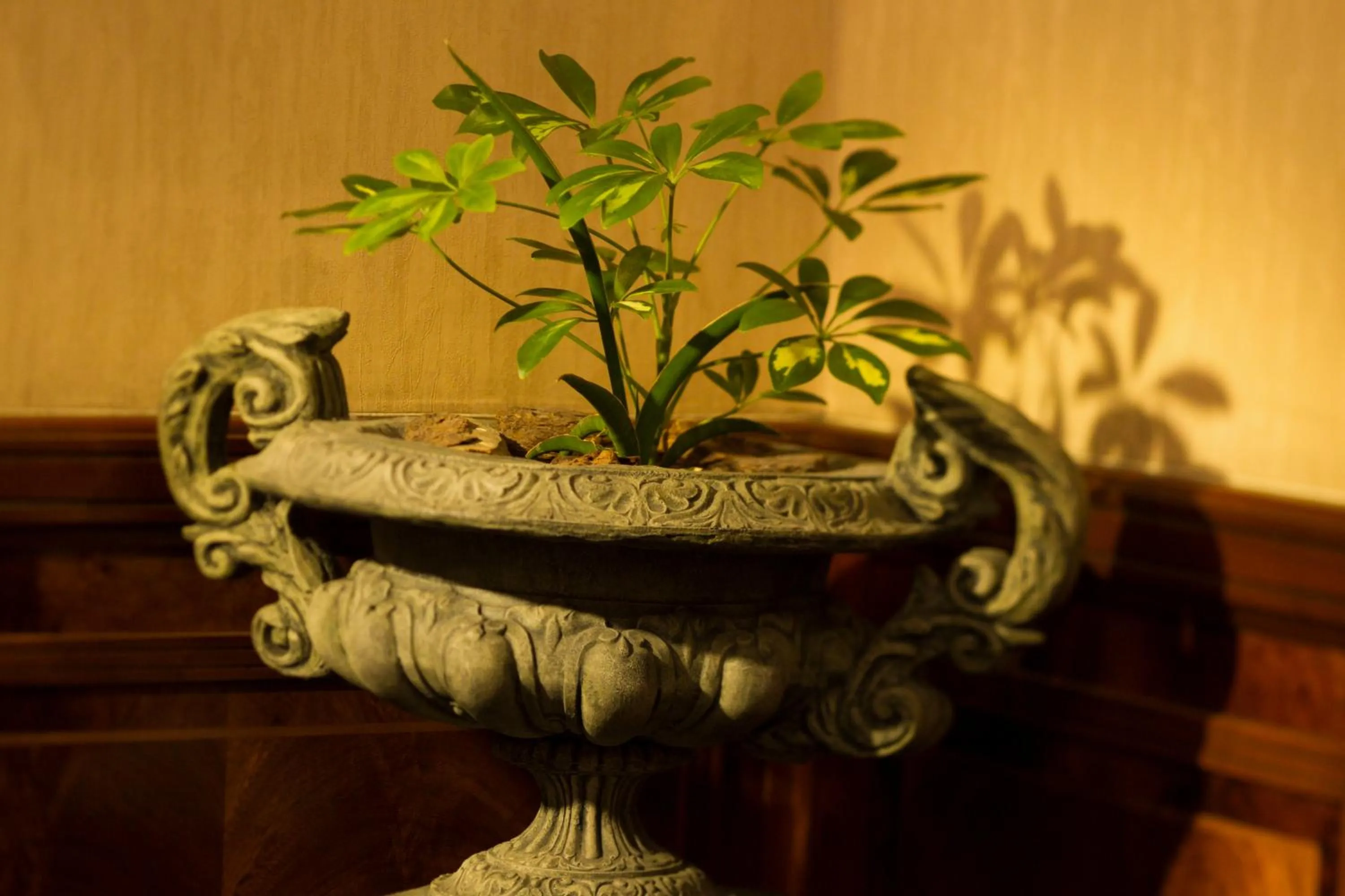 Other in Dukes Hotel Nakasu