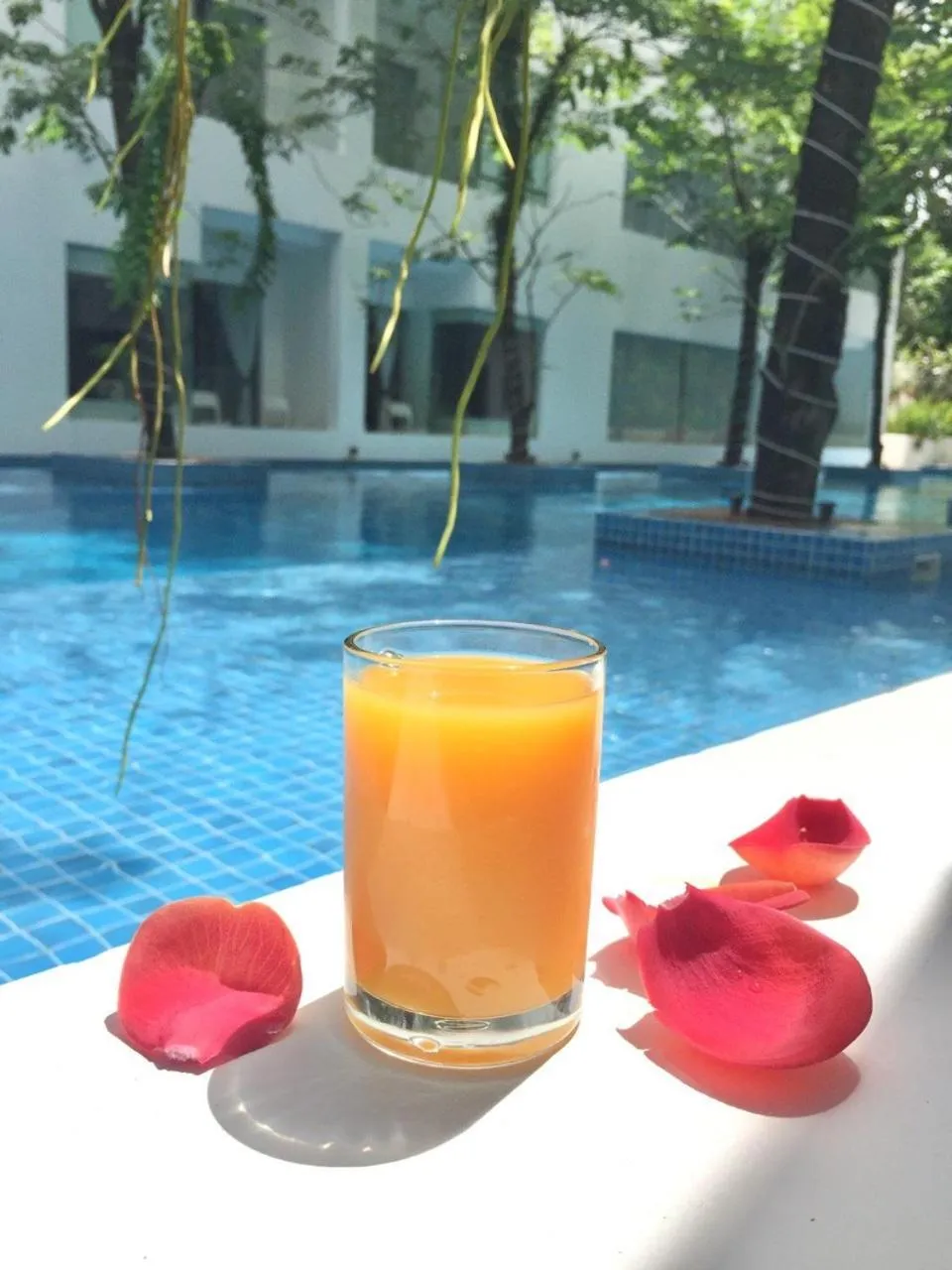 Drinks in Chan Boutique