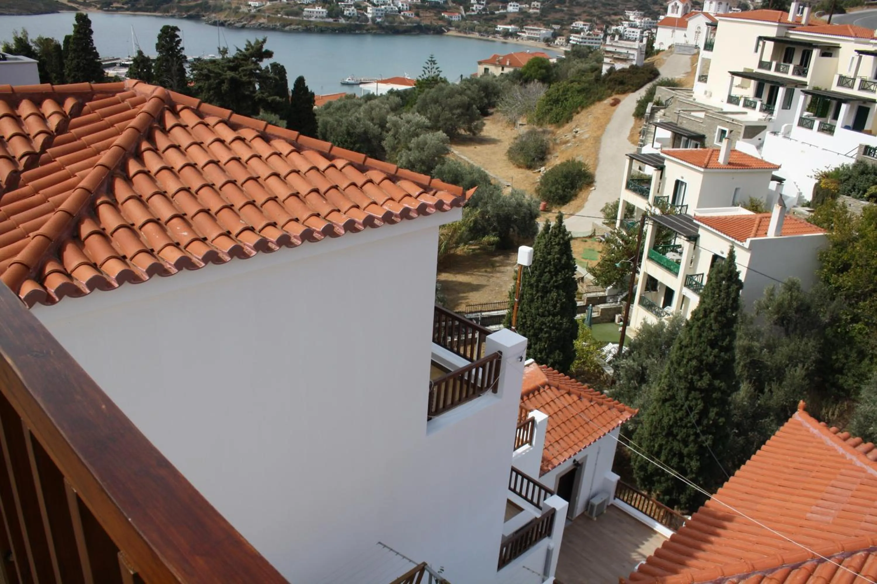 Logo/Certificate/Sign in Amorani Studios