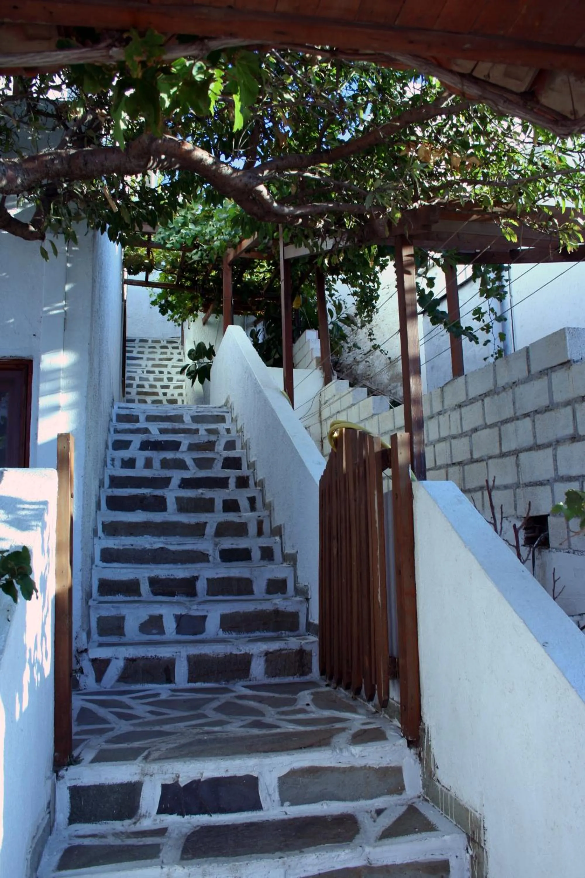 Facade/entrance in Amorani Studios