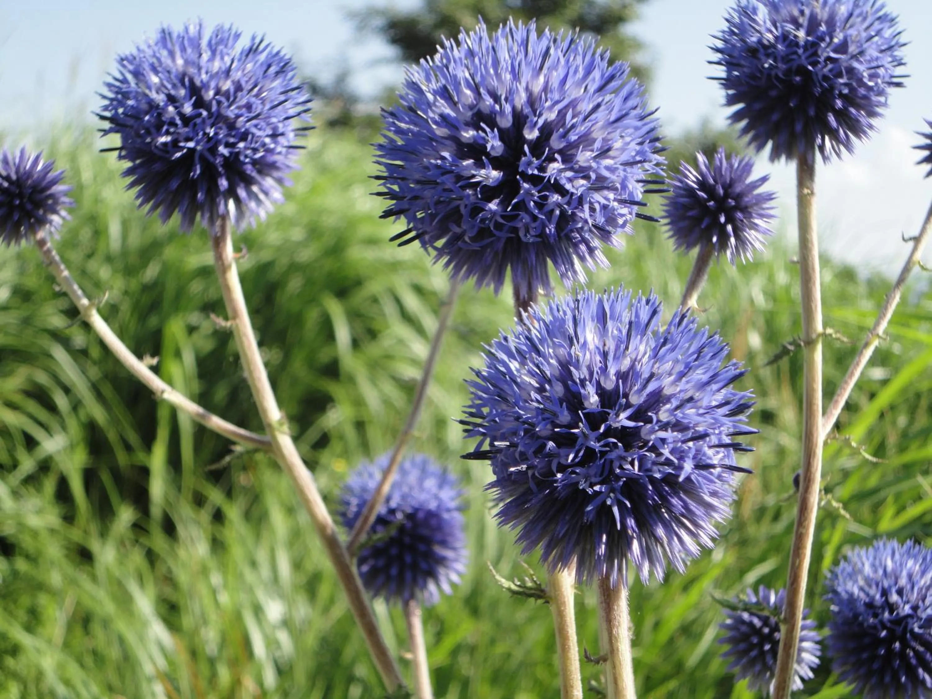 Off site in Global Resort ONO de LUNE