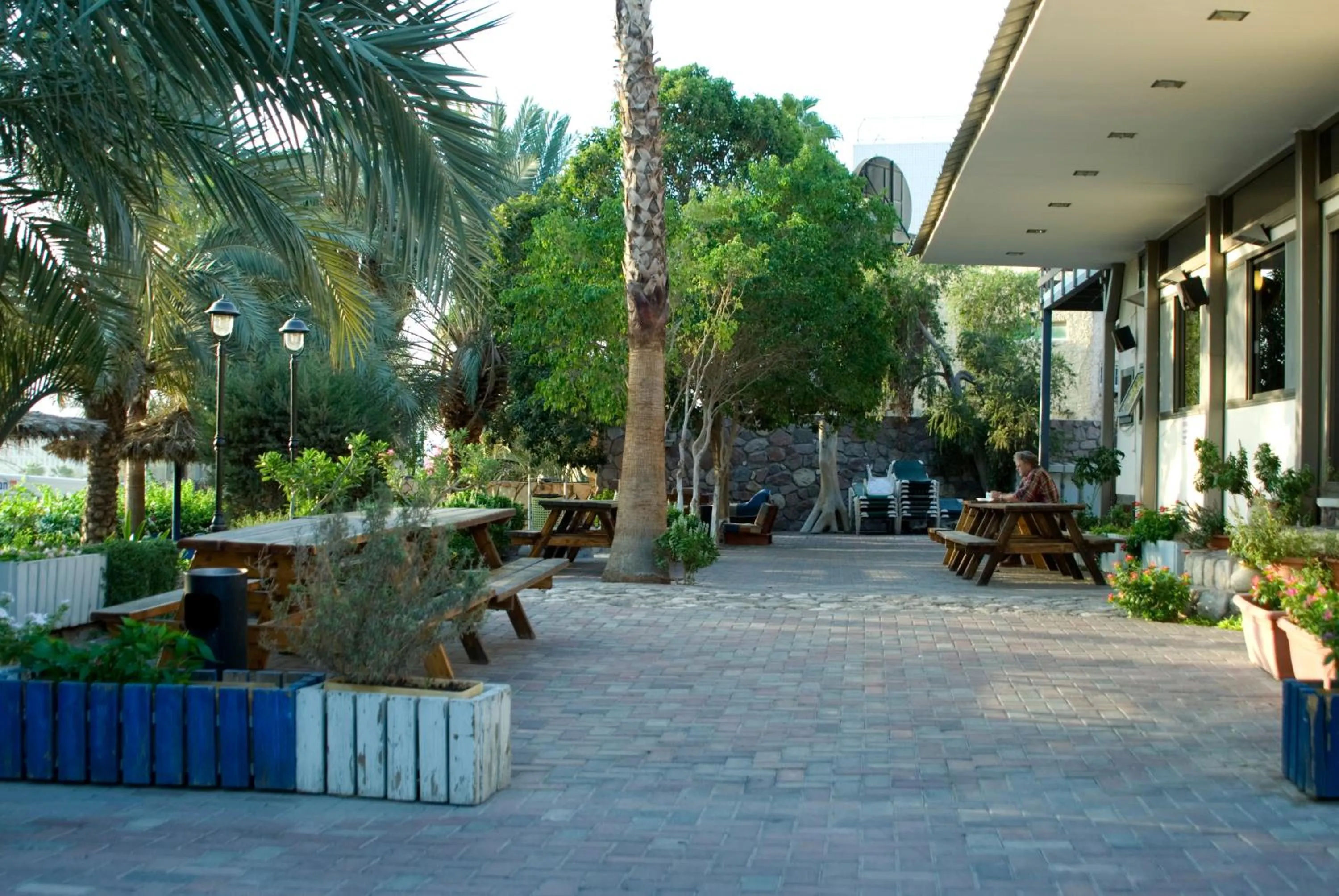 Garden view in Arava Hostel