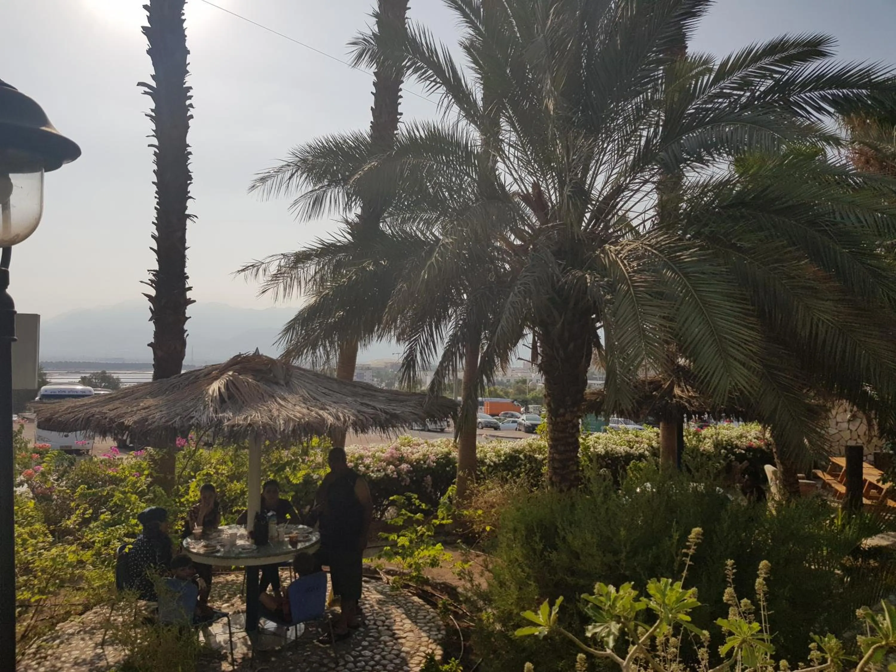 Garden in Arava Hostel