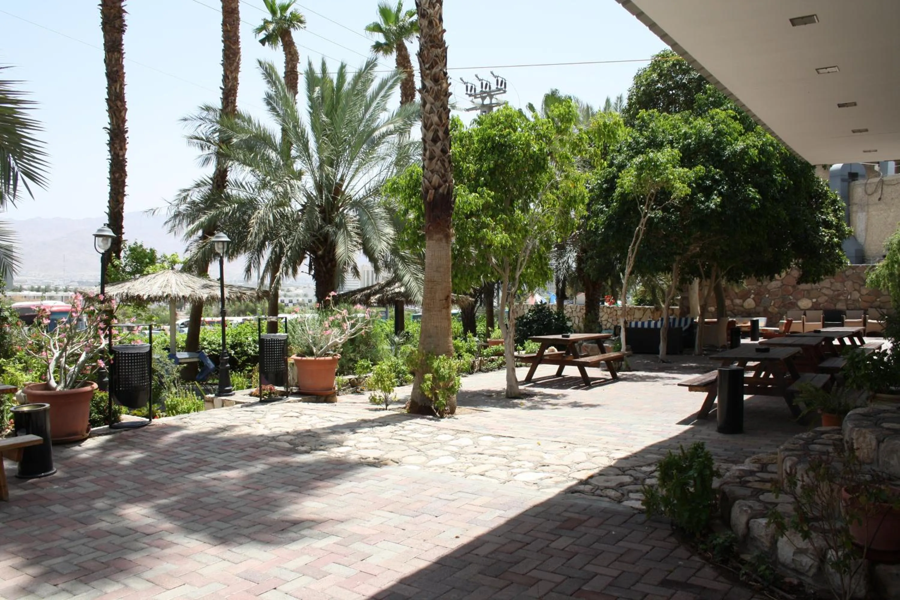 Garden in Arava Hostel