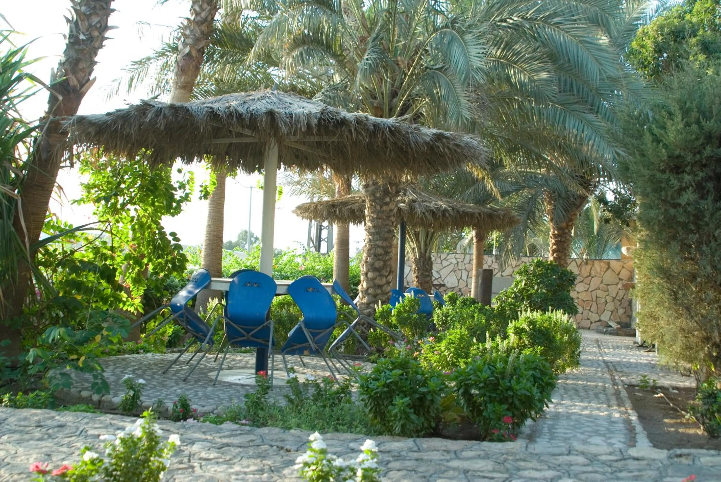 Garden in Arava Hostel