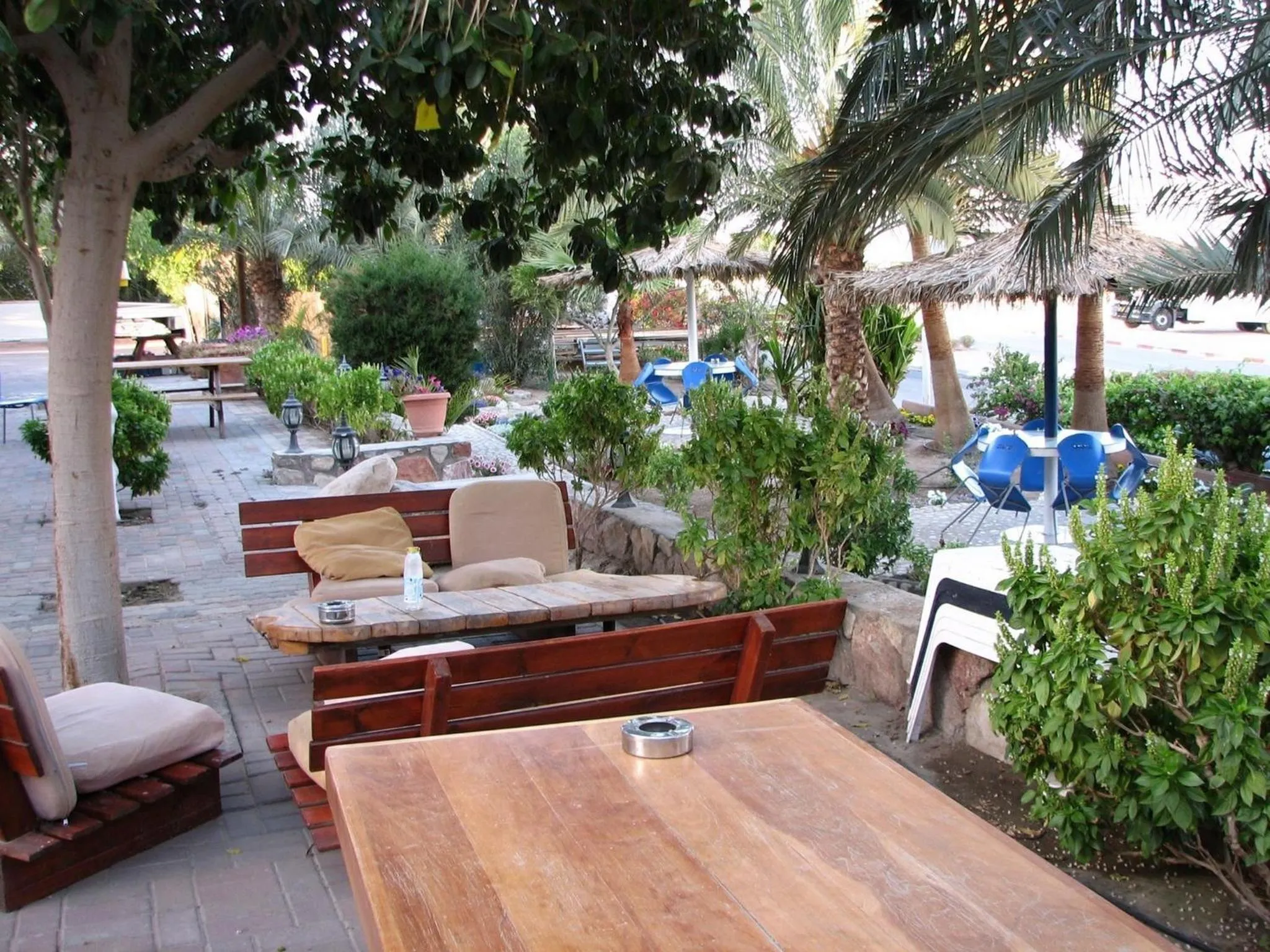 Natural landscape in Arava Hostel