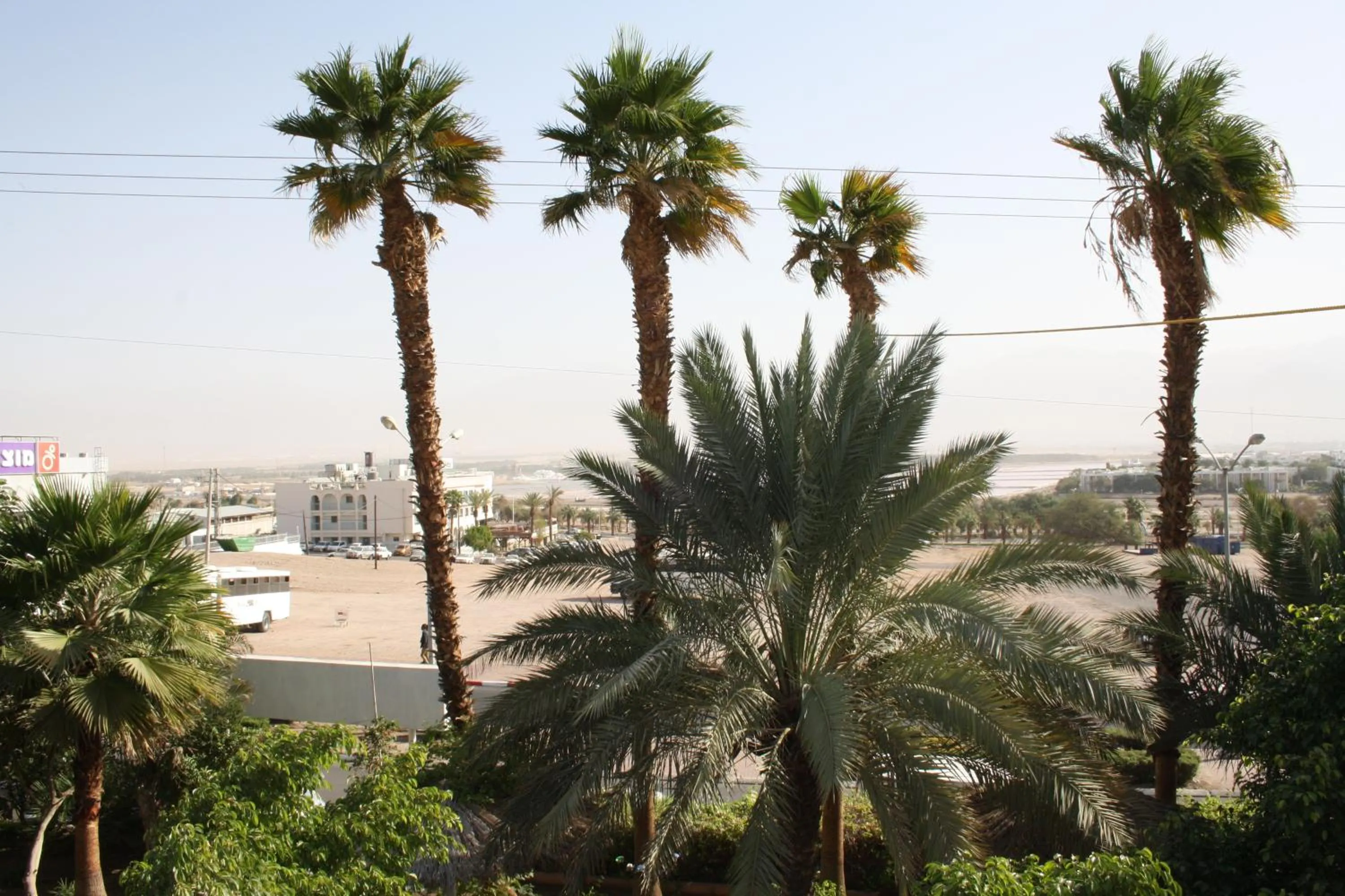 Natural landscape in Arava Hostel