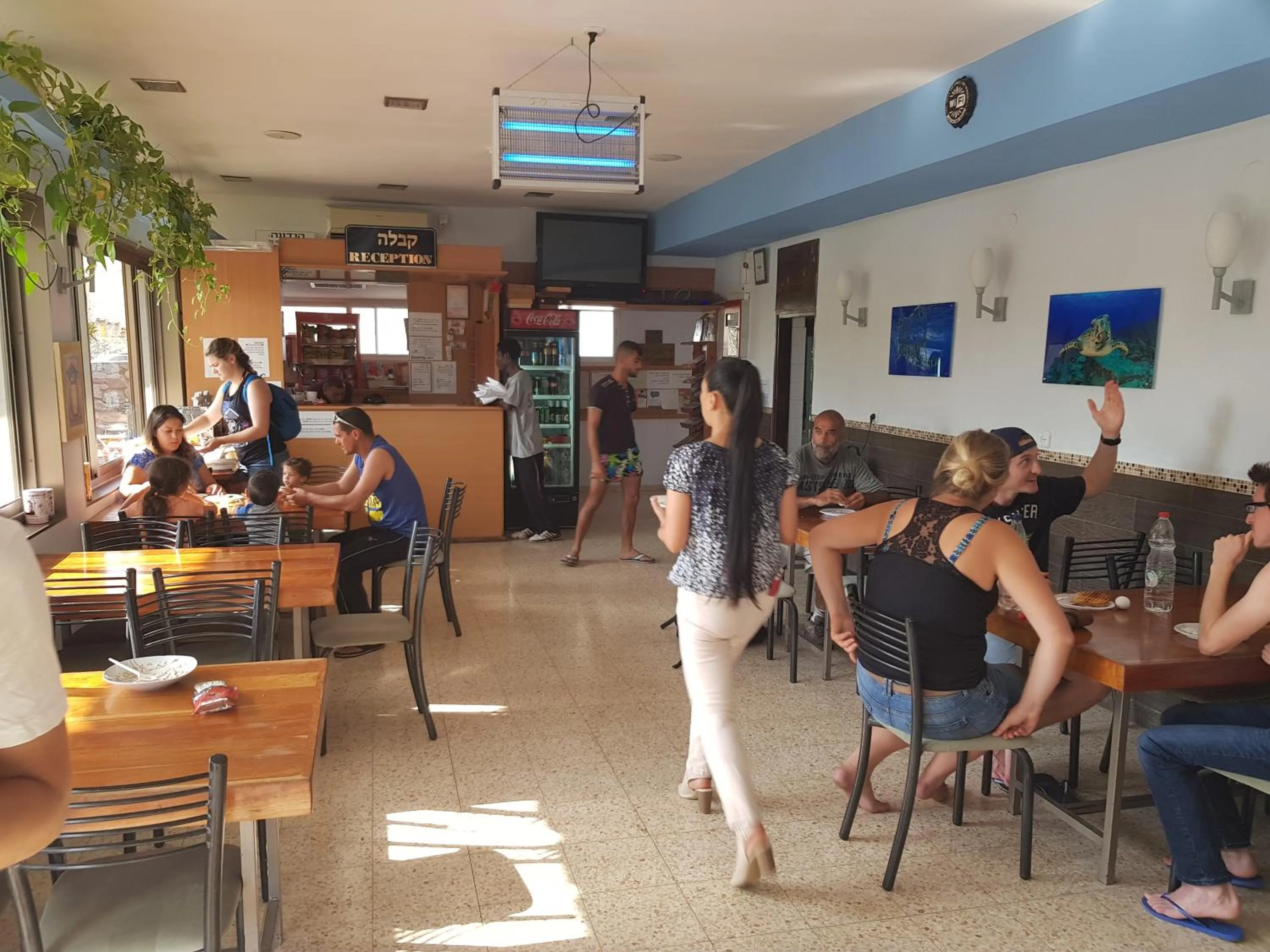 Lobby or reception in Arava Hostel