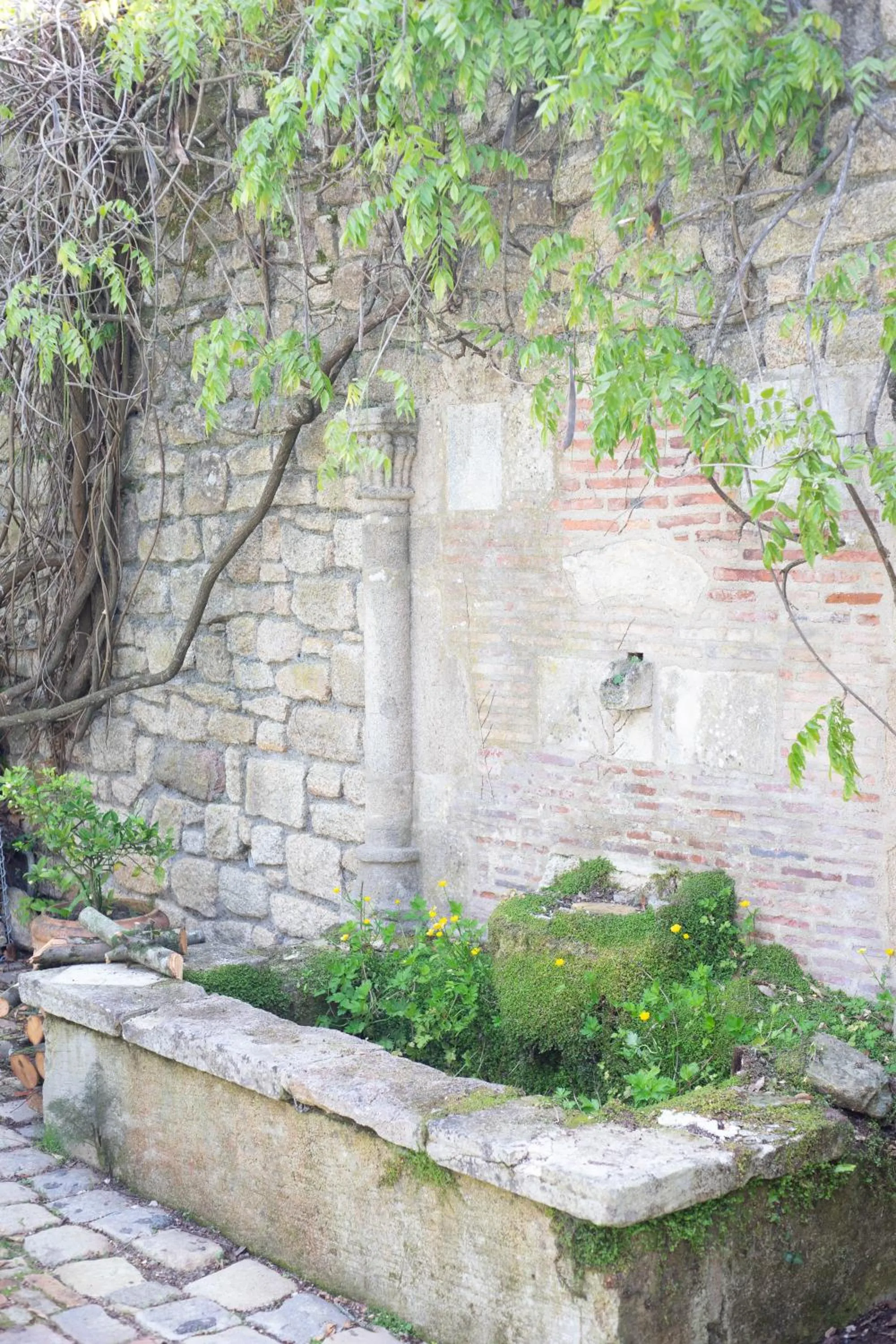 Garden view in Auberge Bretonne