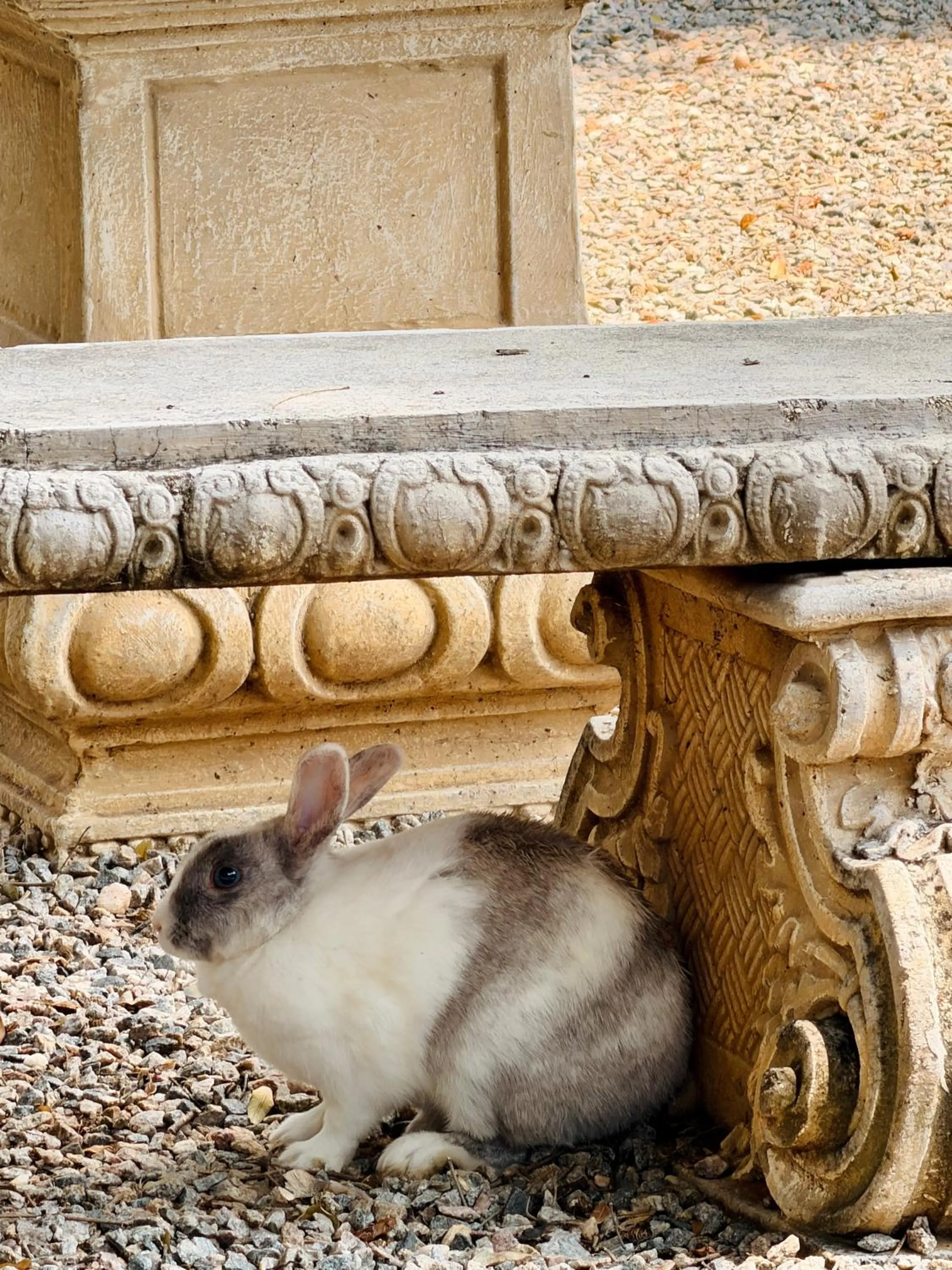 Garden in The Wesley Boutique Hotel & Spa