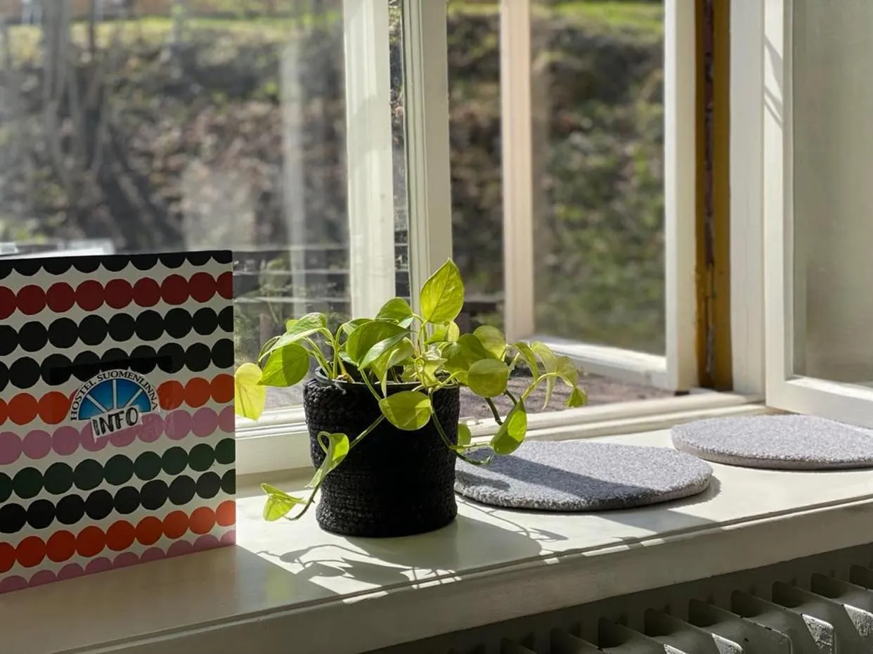 Garden view in Hostel Suomenlinna