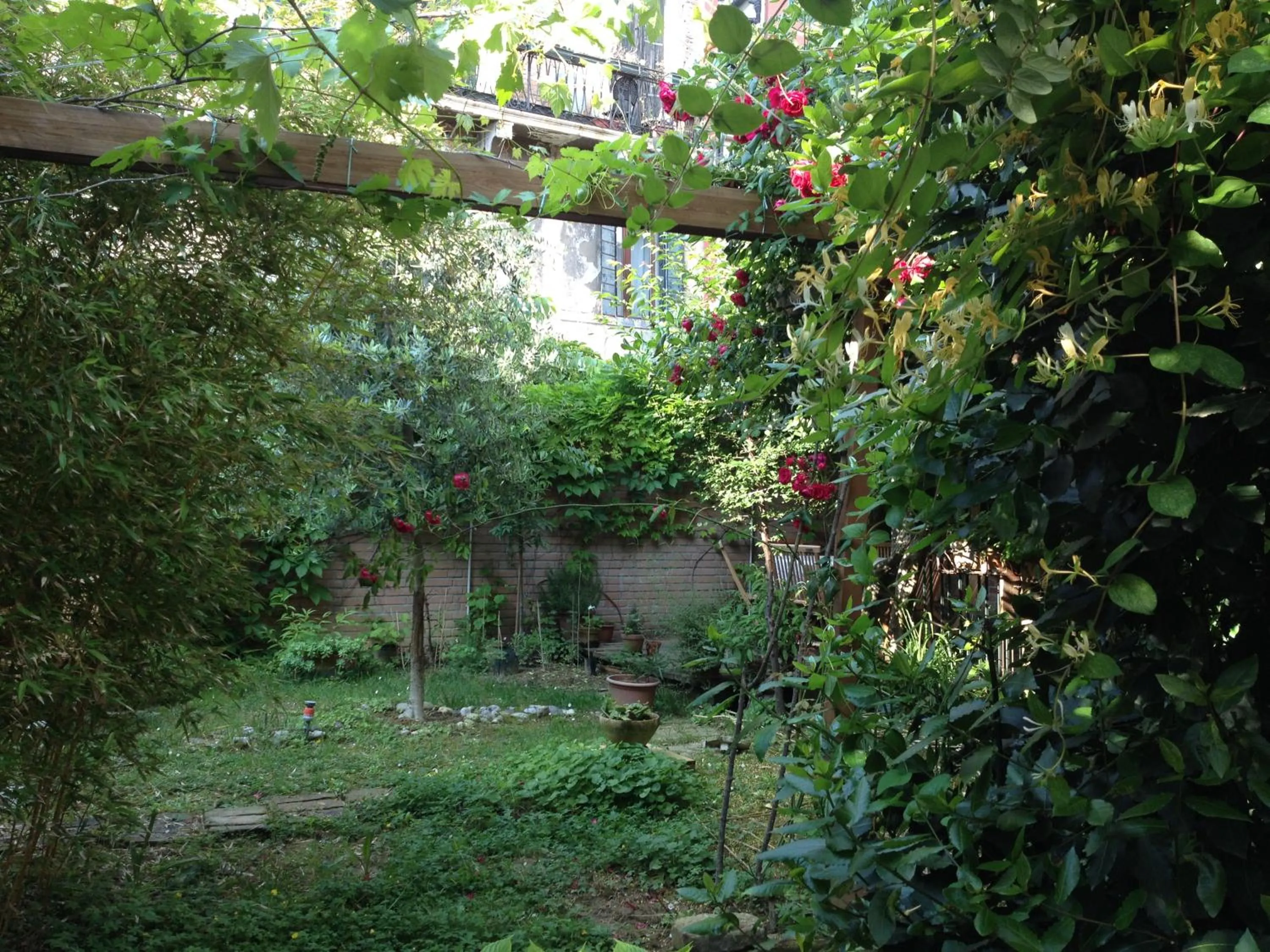 Garden view in b&b allo squero