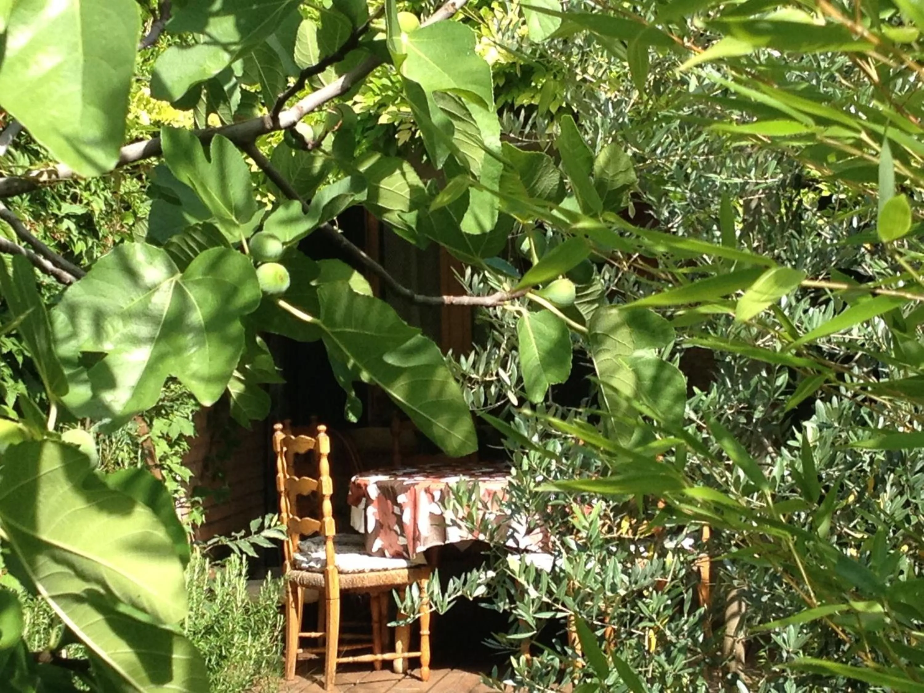 Garden in b&b allo squero