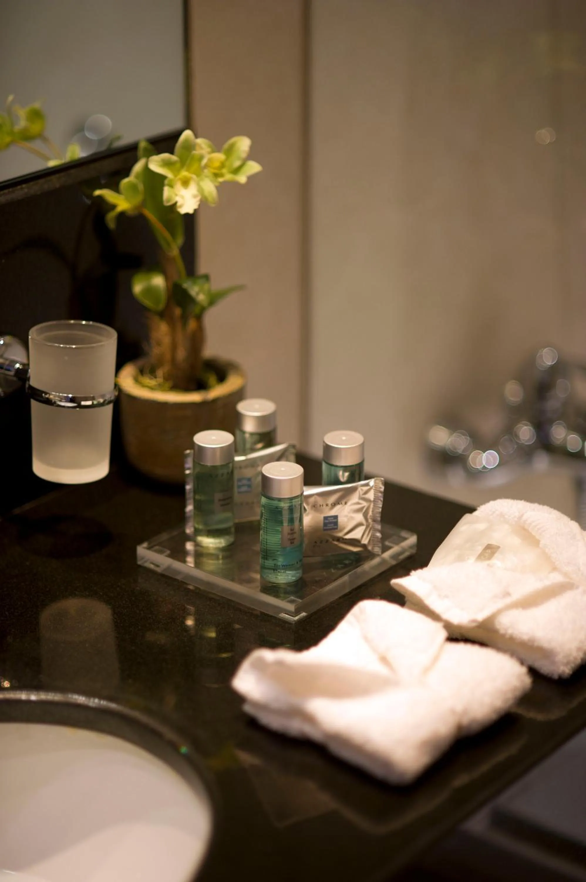 Bathroom in ParkTower Suites